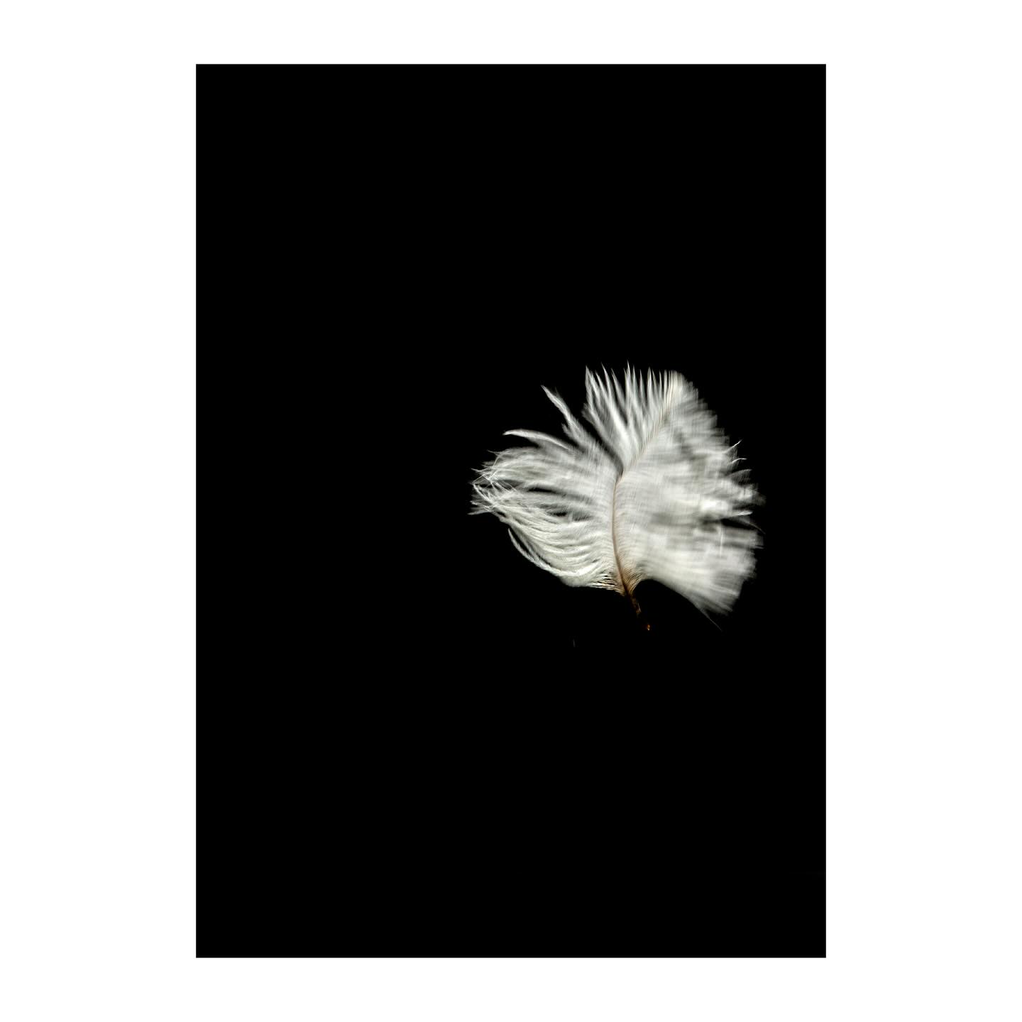 Inauguración “Bailar un lento con vos” en 2025. En unos días en Espacio Mados, Madrid. A partir del 11 de noviembre.
En 2024 la muestra se presentó en Ungallery con la curaduría de @florbattiti y @fernandofarina31 :
“Todos sabemos que el tiempo es tirano y que su paso es ineluctable y aun así Constanza Oxenford se propone bailar un lento con él. Por supuesto que no faltan las mutuas sospechas, ella no parece sentirse del todo tranquila, sabe que se trata de alguien importante, incluso de alguien que la trasciende, tal vez tanto como cuando Borges habla de ese momento singular que nos hace tomar conciencia de la eternidad. Y lo hace recuperando una sentencia de William Blake, el “gran místico inglés”, que dice: “El tiempo es la dádiva de la eternidad”.