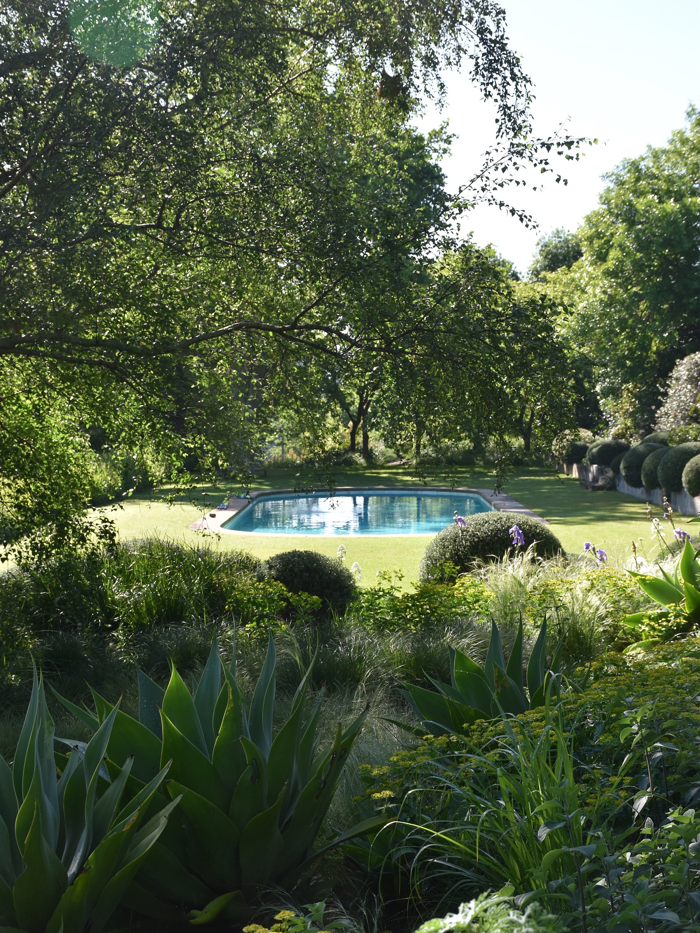 While in Cape Town I spent an inspiring morning with the brilliant garden designer @maurelmary and her assistant @landed82 at her family farm in the Elgin Valley @fairholme_nursery
The farm is both a working nursery for the trade and a garden that feels like a peaceful retreat.
We wandered through the newly designed borders, including Mary’s Meadow, and ended by the crystal-clear natural swimming pond, I honestly just wanted to crack open a cold beer and take it all in.
Mary trained in architecture and grew up in a family of nurserymen, which shows in the balance and structure of her designs. Her gardens sit so comfortably in their landscape, rooted in place yet full of character.
Such a memorable day with two wonderful people in an extraordinary setting. 🫶🏻