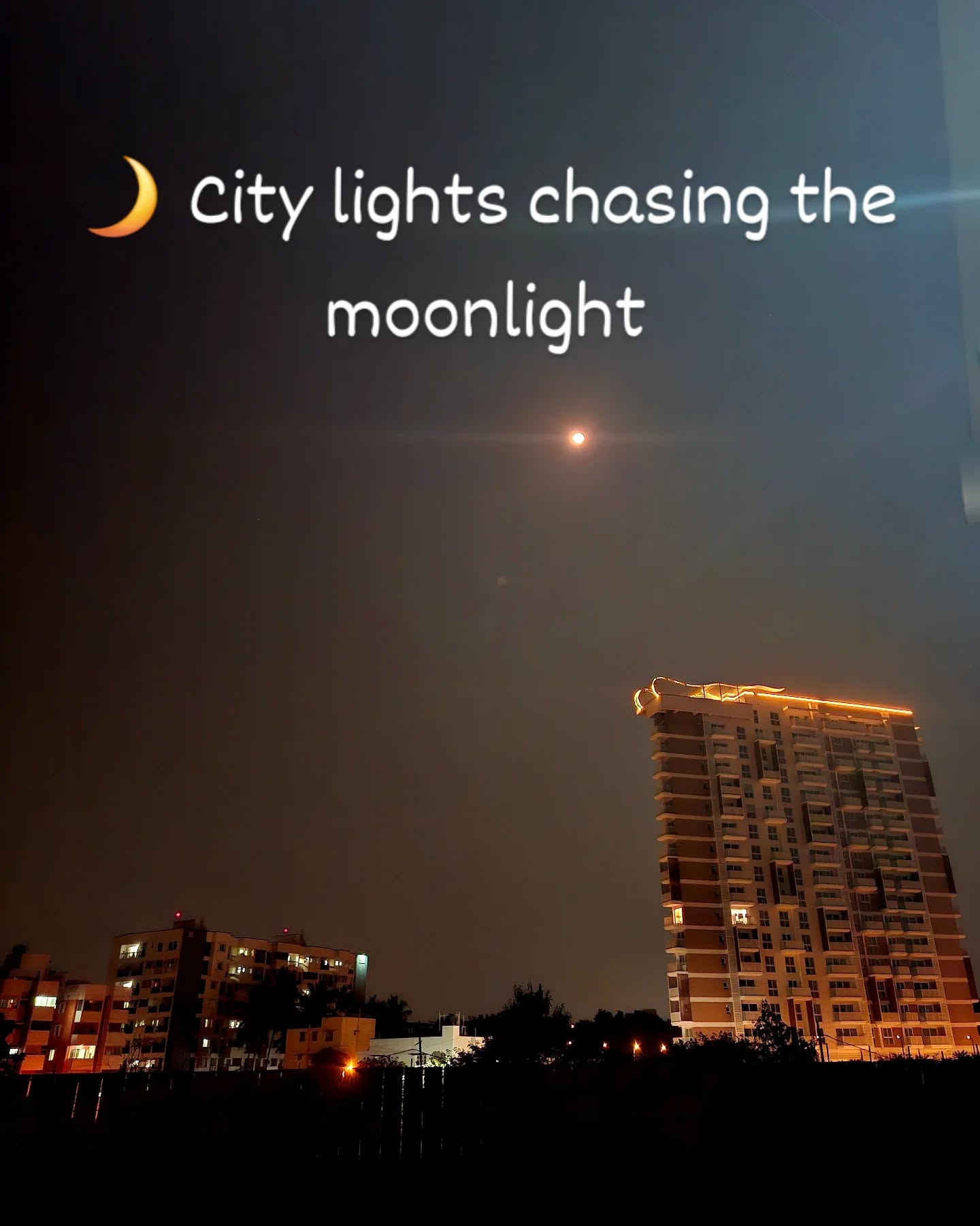 🌙 City lights chasing the moonlight