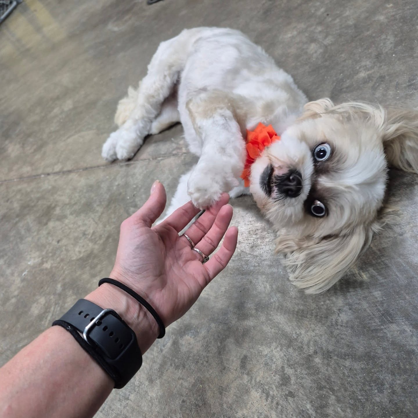 Avery is over here just hamming it up!!! 🤣