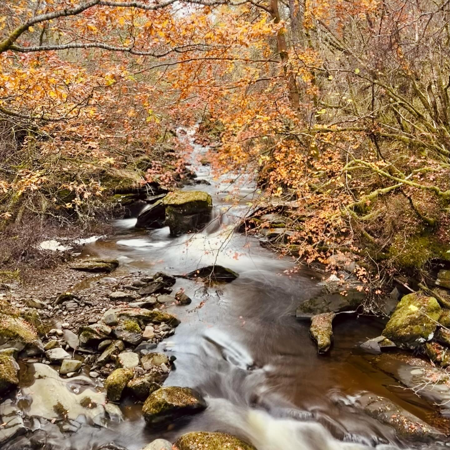 Get your coorie on and enjoy the beautiful fresh autumnal days and nights…
October was all go up north, with stunning woodland walks, diy and storm repairs, arts and crafts and micro adventures…
Here’s to crisp walks, lazy bike rides, and cosy nights in front the fire with books, art and good food 🩷
#coorie #artofcoorie #hygge #scotland #autumn #autumncolours #hiking #bikepacking #artist #getcreative #lovewhereyoulive #diygirl #diy