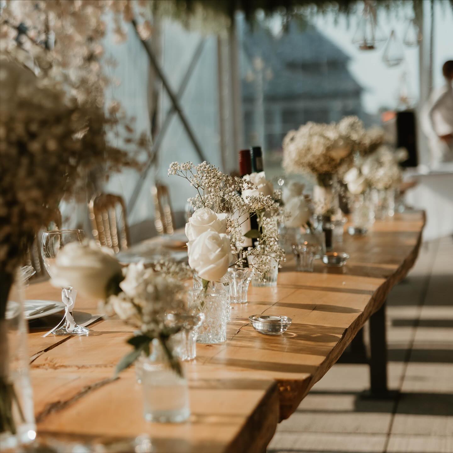 🌹BUD VASES - 09/13/2024🌹
- Heidi
#heidisflorals #heidisfloraldesigns #ottervilleontario #norwichontario #weddingfloraldesign #weddingsontario #woodstockontario #oxfordcountyontario #florals #eventflorist
#ontarioflorist #catanaestateswedding
#florals #budvases #weddinginspiration #norwichontario #ottervilleontario #woodstockontario #localontario
Photos by @percival_photography