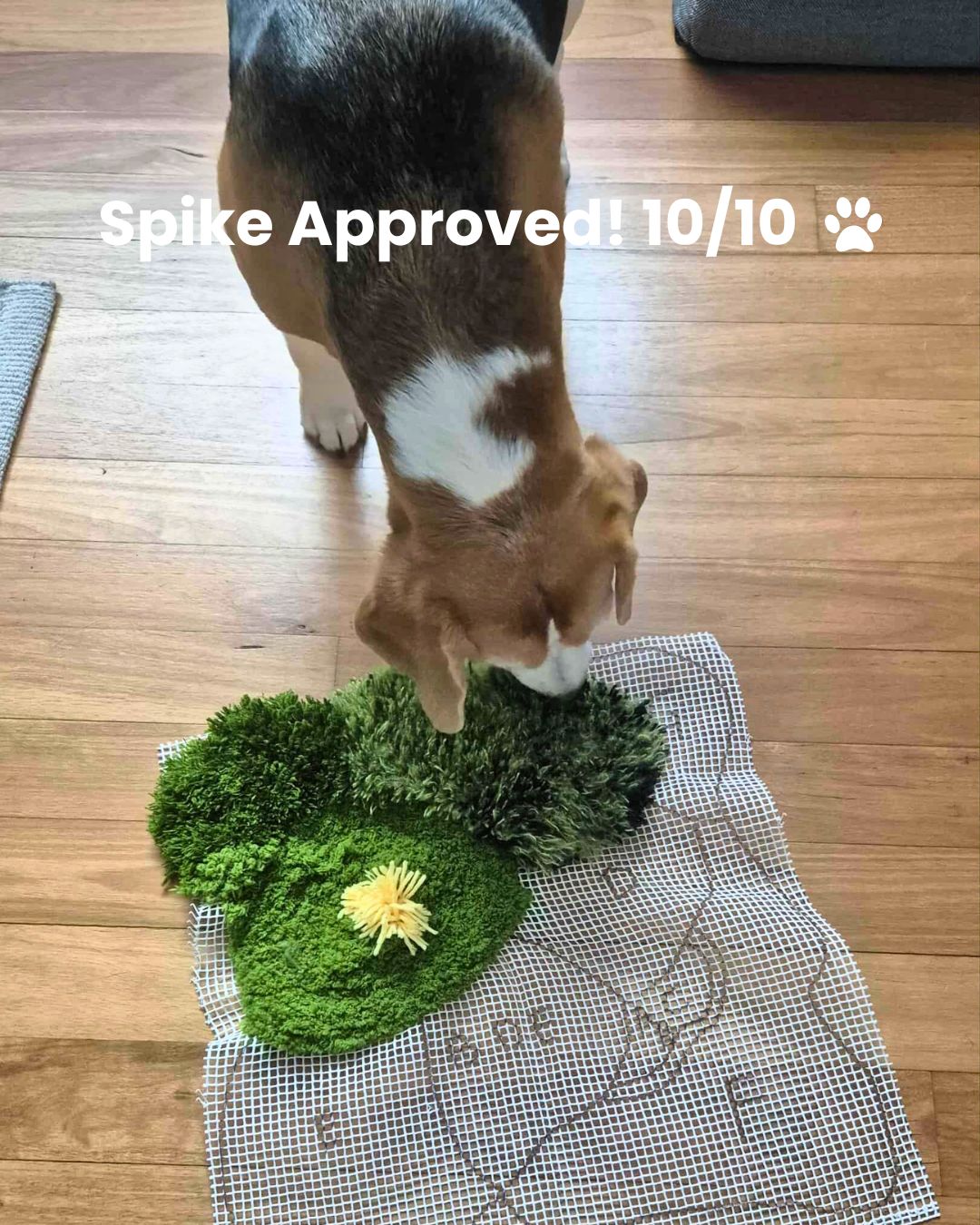 Spike Approved! 10/10 🐾
Not finished yet… but already pet-approved 💚
Our Moss Rug Kit is officially dog-tested and crafter-approved!
#MyCraftMaster #MossRugKit #CraftWithFriends #DIYCrafts #HomeDecorDIY #PetApproved