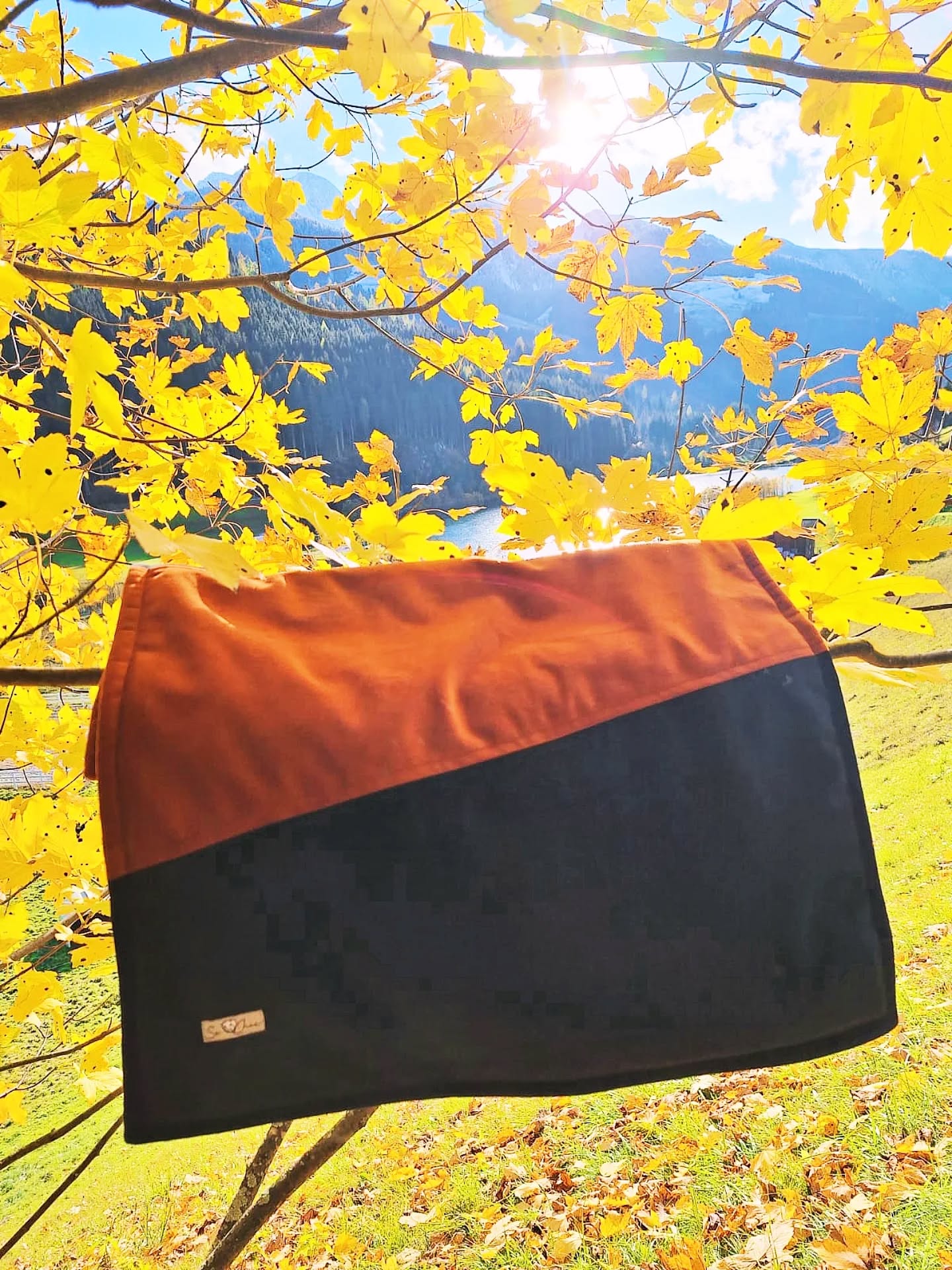 Kuschelfaktor hoch mit unserer SeChic Hundedecke aus der Herbstkollektion! 🍂🧡🖤
Beidseitig nutzbar: Eine Seite Kürbis-Einfarbton, die andere Seite elegant in Schwarz und Kürbis – perfekt für jeden Anlass und Stil.
Ideal zum Kuscheln zu Hause, im Auto oder unterwegs.
Jetzt entdecken und euer Fellfreund stilvoll begleiten lassen. 🐶🛋️🚗
#SeChic #Hundedecke #Herbstkollektion #Kürbis #Hundestil #BeidseitigNutzbar#handarbeit#südtirol