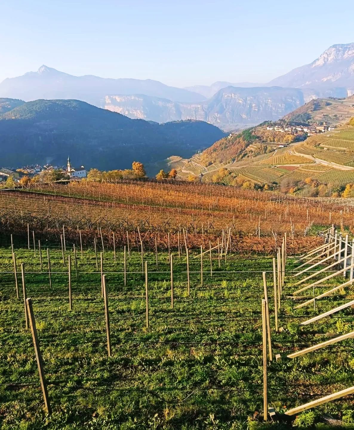 Un nuovo vigneto, una nuova sfida.
Nasce lassù, a Giovo in Val di Cembra, al limite della produzione delle uve del Trento doc, dove le viti si aggrappano alla montagna e il respiro dei venti freddi che scendono dalle Dolomiti di Fassa e Fiemme accarezza i grappoli.
È qui che noi di Villa Corniole abbiamo voluto portare sempre più in alto le nostre uve: verso la purezza, la freschezza e l’eleganza che solo la viticoltura eroica di montagna sa regalare ai nostri Trentodoc SALÍSA.
Un progetto che parla di coraggio, di amore per la nostra terra e della ricerca instancabile della nostra identità: quella di chi crede che la quota non sia un limite, ma un valore.
Più in alto, più puro, SALÍSA Trento doc Villa Corniole.
#VillaCorniole #TrentoDOC #ViticolturaEroica #ValdiCembra #ViniDiMontagna #NuoviProgetti