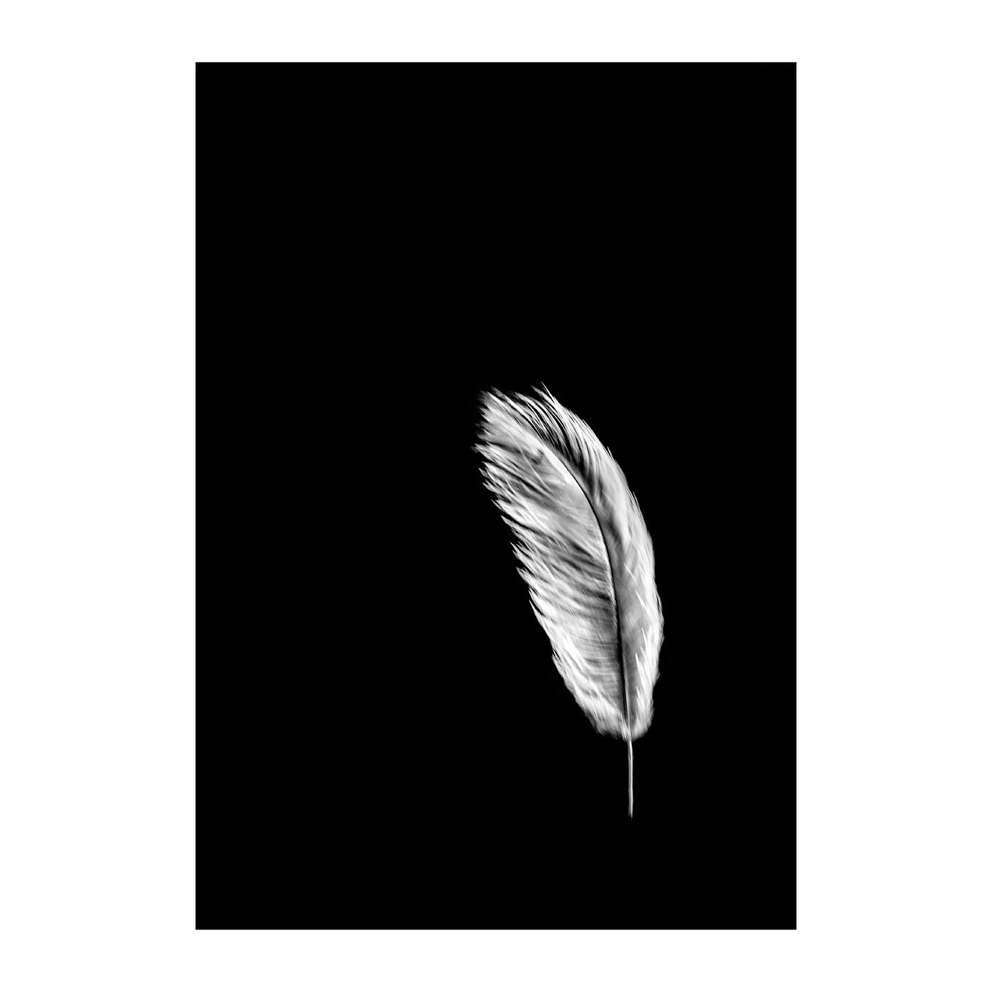 “Bailar un lento con vos” en Espacio Mados, Madrid a partir del 11 de nlviembre con curaduría de @florbattiti y @fernandofarina31
#fineartphotography #womanartist #artecontemporaneo #arteconceptusl #mujeresartistas #distritodelasartes
“¿Cómo abordar el tiempo como idea, como percepción, como significante? ¿De qué manera vivir conscientemente con su presencia cotidiana que transforma cada segundo en un pasado y se mete en el cuerpo para hablar?
Sí. El cuerpo es hablado por el tiempo, al igual que todo lo que nos rodea. Se trata de rastros, señales,
vivencias, muchas de las cuales entraron por las pupilas y se conservan bajo la piel.
Bailar un lento con vos es la imagen de un recuerdo que nos vuelve a enamorar. Esa reminiscencia que hace que el tiempo se detenga en nuestra memoria como un eterno presente, superponiendo imágenes y vivencias, como si todas estuvieran ocurriendo a la vez.”