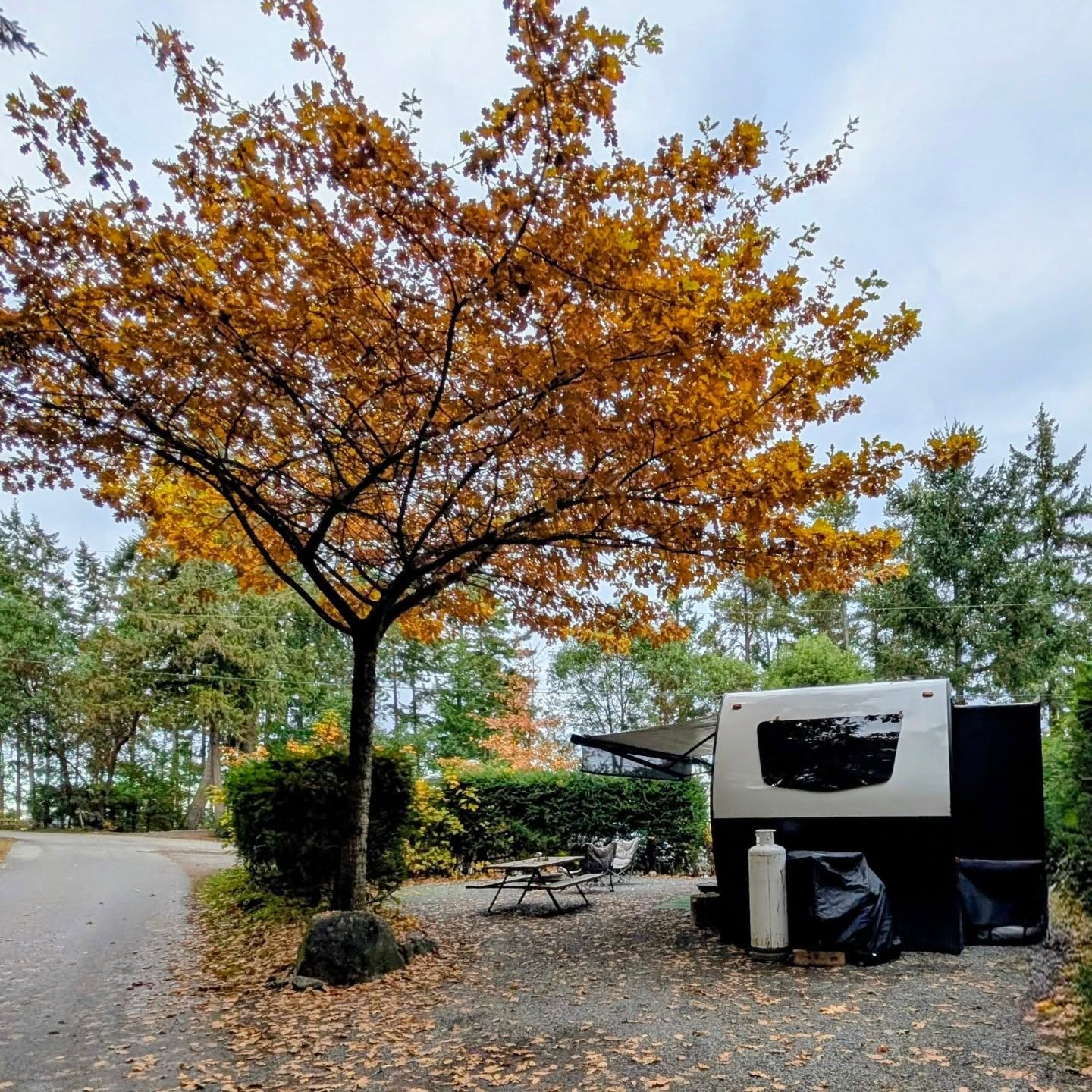 Living in a 26ft travel trailer definitely gives storage a unique twist. It can get messy quickly, so staying organized and knowing exactly where everything is becomes a weekly routine. This way, I can easily keep stock of all my supplies and quickly respond to orders.
During this busy holiday market season, I’m focused on keeping my best sellers in stock and ready for local markets and online orders. I often have to search for materials like wood, dry and prep it, then cut and sand as needed.
Check out my website to see the magical items I created and find your favorite handcrafted items just in time for the holidays!
#TravelTrailerLiving #TinyLiving #TravelTrailerLife #OrganizedOnTheGo #Handmadekidstoys #HolidayMarketSeason #SmallBusinessSupport #rvsmallbusiness #Woodworking #MarketReady #earlylearning #TravelLife #ecebc #ShopSmall #HolidayShopping #canadiansmallbusiness #earlychildeducation