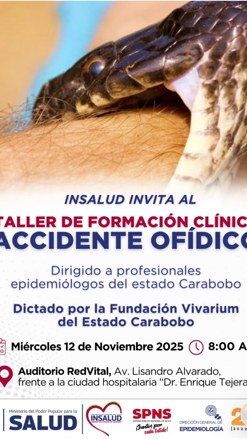 🐍 Taller de Formación Clínica del Accidente Ofídico — Carabobo 2025
La Fundación Vivarium, en alianza con INSALUD y la Dirección de Epidemiología del Estado Carabobo, realizará una jornada de actualización dirigida a los profesionales epidemiólogos del estado.
📍 Lugar: Auditorio Red Vital, Av. Lisandro Alvarado, frente a la Ciudad Hospitalaria “Dr. Enrique Tejera” (CHET)
🗓️ Fecha: Miércoles 12 de noviembre de 2025
🕗 Hora: 8:00 a. m.
Esta formación busca fortalecer la capacidad clínica y epidemiológica en el diagnóstico, manejo y coordinación ante casos de accidente ofídico, contribuyendo a una respuesta más efectiva y oportuna en salud pública.
💚 Fundación Vivarium — Preservando vidas y biodiversidad.
🔗 www.fundacionvivarium.org
#FundacionVivarium #AccidenteOfidico #INSALUD #EpidemiologiaCarabobo #SerpientesVenezuela #SaludPublica #Vivarium #FormacionMedica #Prevencion #preservandovidas #snake #onu #hai