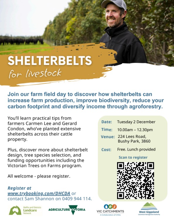 MDLN will be partnering with @wgcma to show how shelterbelts can be integrated into your grazing systems to benefit livestock productivity, climate resilience and bring biodiversity onto farms.
Check out the flyer to register or call Sam 0409 944 144