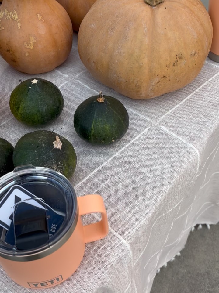 We’re in Hartwell 10-3 today @commongroundhartwell
Frost is imminent on Monday night. Come and get some of the last fresh flowers of the season.
We’ve also got some super special farmer Paula and farmer Christina original wreaths, a particularly nosy pumpkin, tomato jam, pepper jelly, fig preserves, farm eggs, farm honey, farm merch, spinning gourds…😮💨
#localflowers #hartwellga #flowerfarm #driedflowers