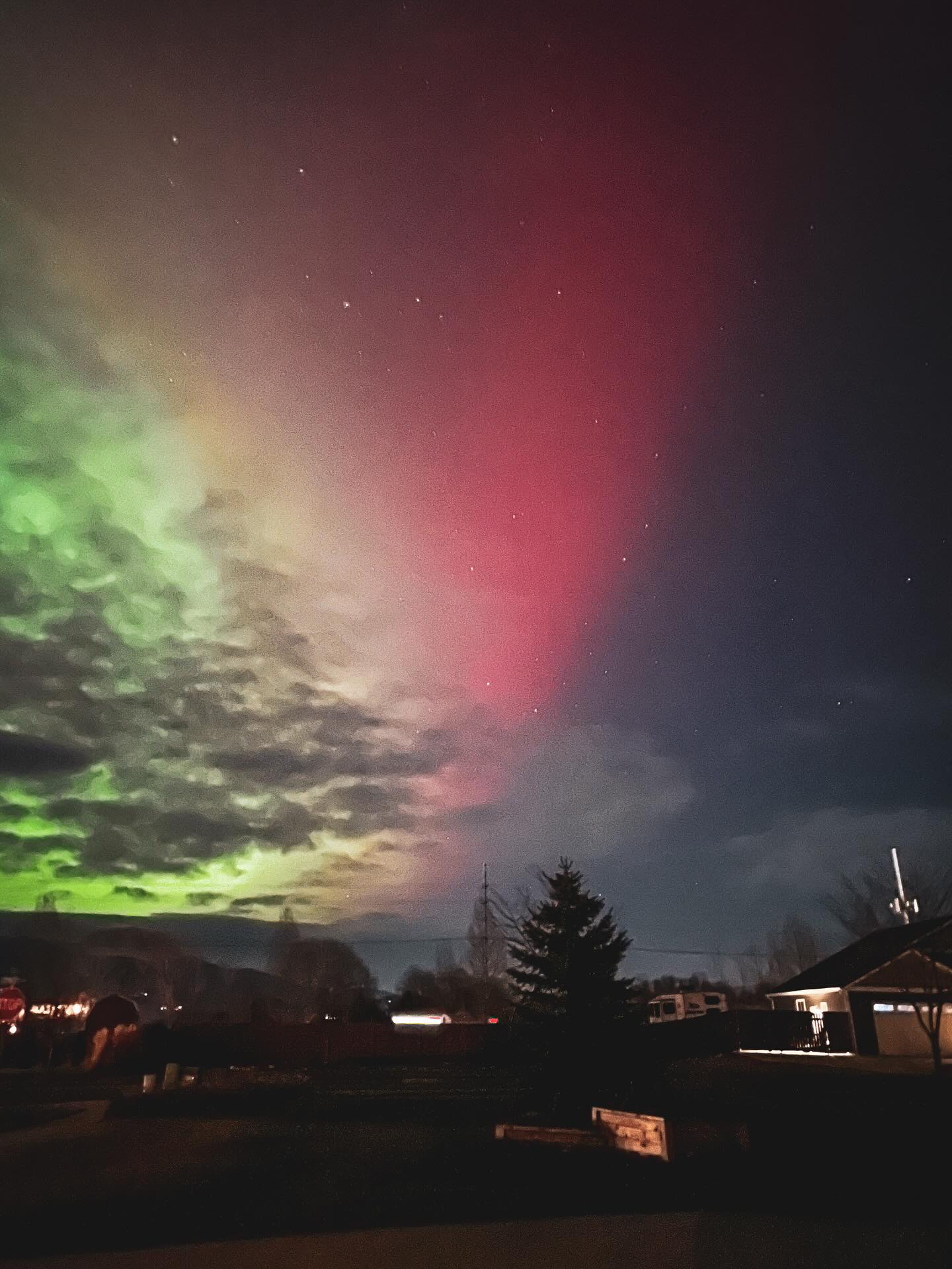 My first Northern Lights of the season, right outside my front door 😍