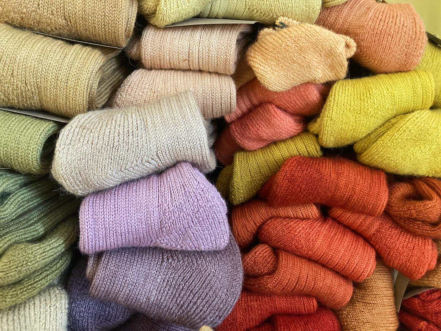 Socks! For months I have been growing, harvesting, drying dye plants and dying these fabulous Devon wool walking socks. They are like warm hugs for your feet - sustainable, ecological and fabulous. Each pair is a one off - an act of curiousity and love of the exploration of colour. I will be taking the first batch to. @castcornwall market on Saturday 15th November along with oak gall ink and hopefully my very special healing hands balm. Then to @potager_garden on 7th December ( my fabulous partner will be holding this one @falmouth_shiatsu_qigong ). If you live too far away let me know your favourite colour and size and I will see what I can do!
#naturallydyed #naturaldyes #foraging #colour #woolsocks #socks #naturallydyedsocks
