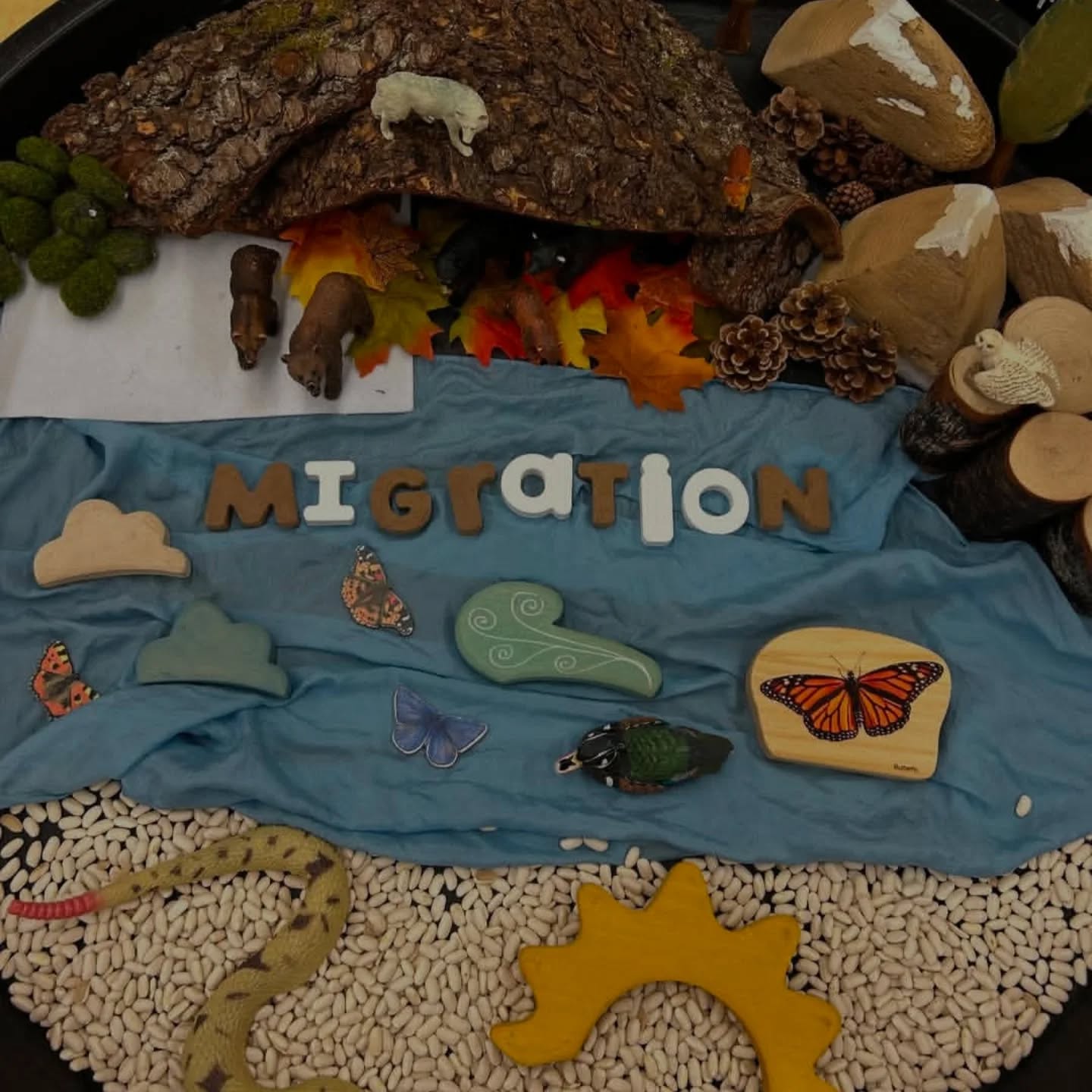 🍂✨ Embrace the magic of fall and migration with natural resources! Using Forest Learning Tools alphabet and numbers made from wood helps little ones connect with nature while building essential skills.
Add a touch of whimsy with small world play items like our felted mushrooms and cedar mountains — perfect for sparking imagination and creating a cozy autumn scene. 🍄🏔️ Playful exploration of the natural world encourages curiosity, promotes mindfulness, and brings learning to life!
Let's nurture little explorers through nature-inspired learning and imaginative play.
*Photos by Kimder Kampus educators.
#NaturalLearning #FallVibes #ChildrensEducation #ImaginativePlay #EcoFriendly #ForestLearning #AutumnAdventures #learningresources #learningthroughplay #naturalresources #WoodenToys #handmadewithlove❤️