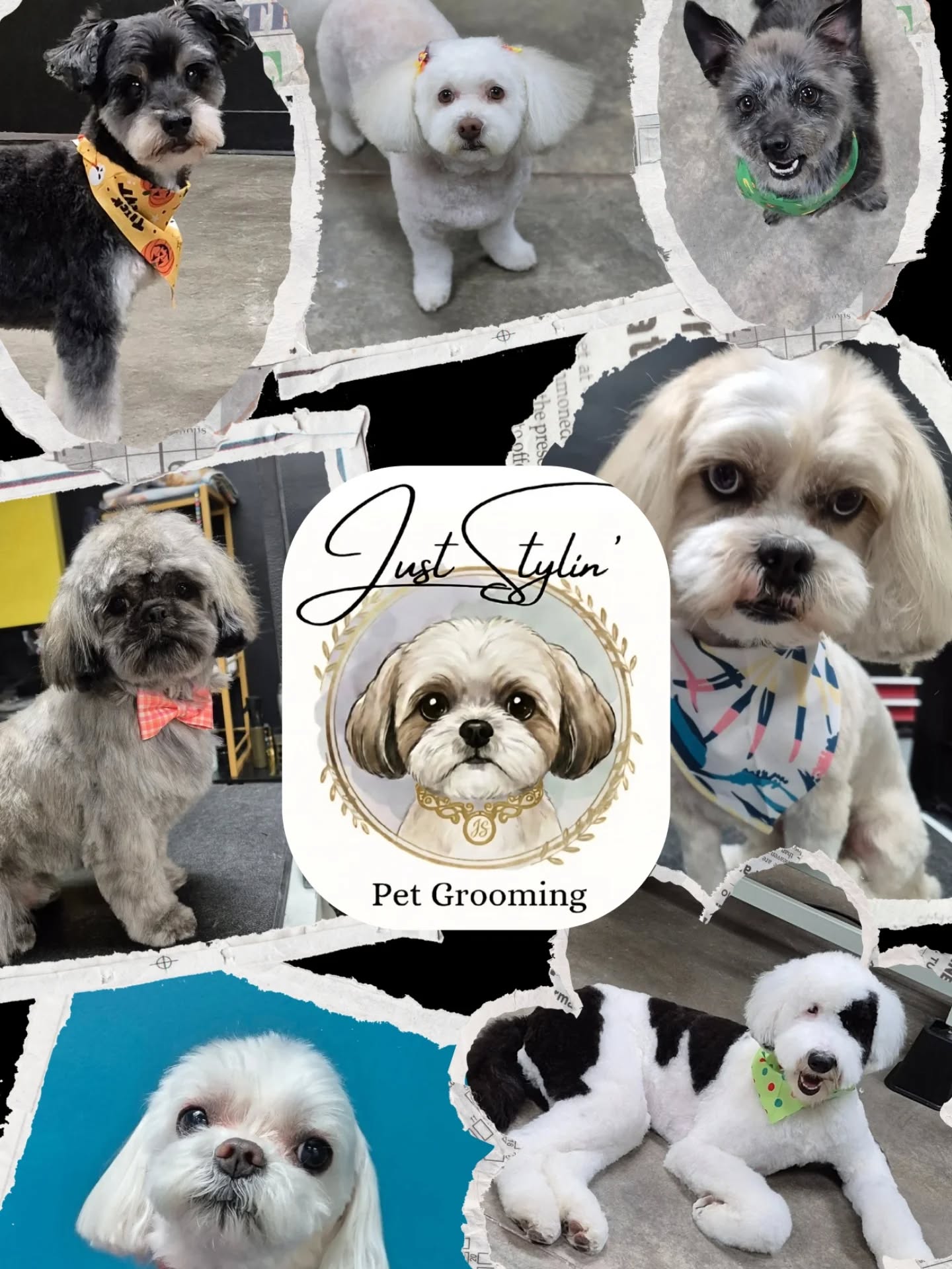 New (and improved) logo coming soon!! 👀