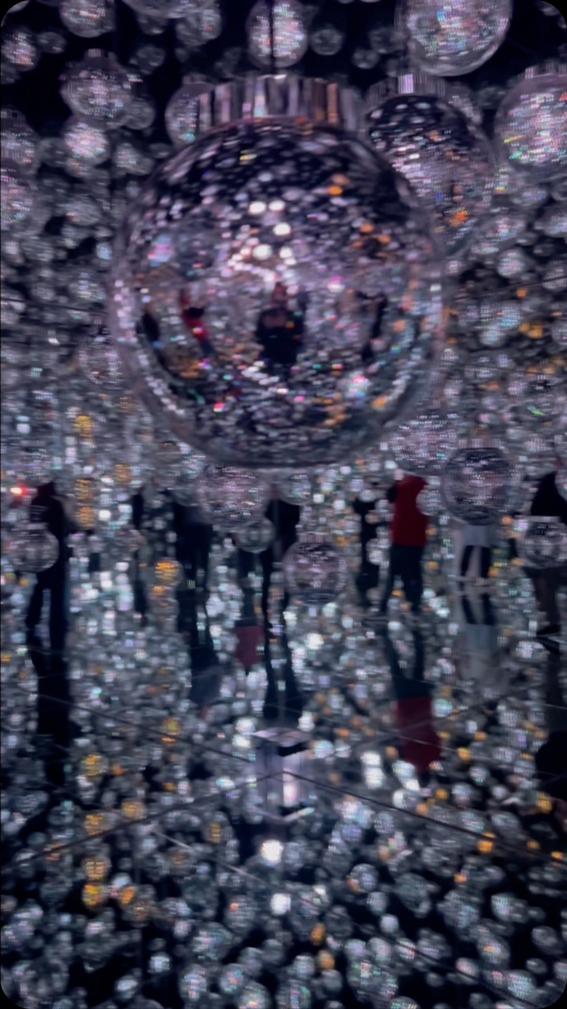 Team Lab Tokyo