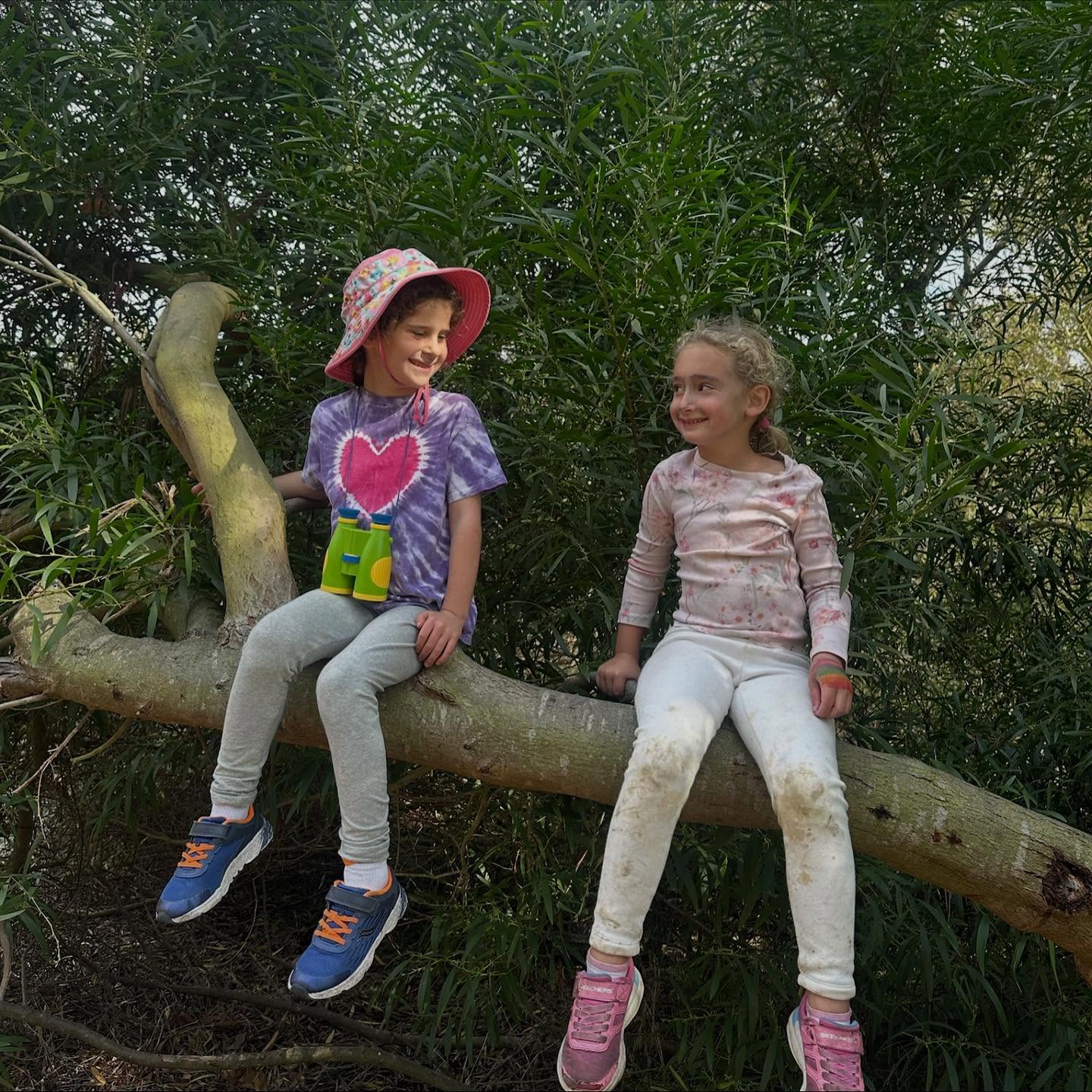 Cute Vets day update! We had fun learning survival skills for the day practicing fire making and cameo skills. Next full day camps coming up week of thanksgiving & we are almost sold out! #coastalkiddos #sdmoms #getoutside #sandiego #natureplay