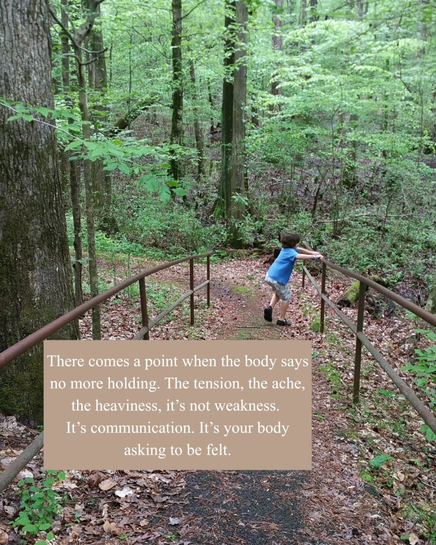 The body doesn’t heal through words alone.
It heals through experience, through safety, movement, and presence. All in connection.
In my work with clients, I’ve seen how somatic therapy and 9D Breathwork create that space for the body to release what it’s been protecting.
It’s not about reliving pain.
It’s about re-establishing safety through connection, one felt moment at a time.
✨ Private and group sessions available locally and virtually.
📞 Complimentary consultation link in bio.