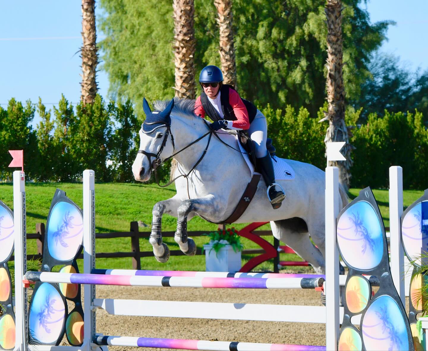 We finished our 2025 show season 💪 with a fun and successful week at Sunshine 2. The horses were great, and all the riders had moments of brilliance, showed great horsemanship, and gave so much support for their fellow barn mates. It has been a busy year with a lot of changes and we are so grateful for the wonderful people who support us 😊
Some competitive highlights:
Touche d’allegresse and @powerblue1197 were 🥉in the .95 Classic and placed consistently in ribbons all week
Rocket Man and @lvavreck were 🥇in the A/A Hunters 50 and over and scored an 87 in 1st round of Classic!!
@sarabmarkham and Bussin’ were 🥈in the Foxfield Medal and with Don Corleone were 🥈in the THIS Adult.
Cederic L and @madelinezandona_eq had great rounds in the 3’3” Medals
Arya CF and @junesalin7 had top placings in the CPHA Style of Riding and the USHJA Jumping Seat medals
Cannara and @mk_or_mj had beautiful rounds in the 1.05 Amateur Jumpers
Coraggio and @emma.lindstromm had top placings in the High Perf and a beautiful round in the Intl Derby
Finnetic and @crazi_monkies had beautiful competitive rounds in the .80 jumpers
Smirnoff Ice and @emma.lindstromm were amazing in the .90, this young sales horse would@make a wonderful project for an experienced rider.
So grateful for all these horses and riders 💕😃👏