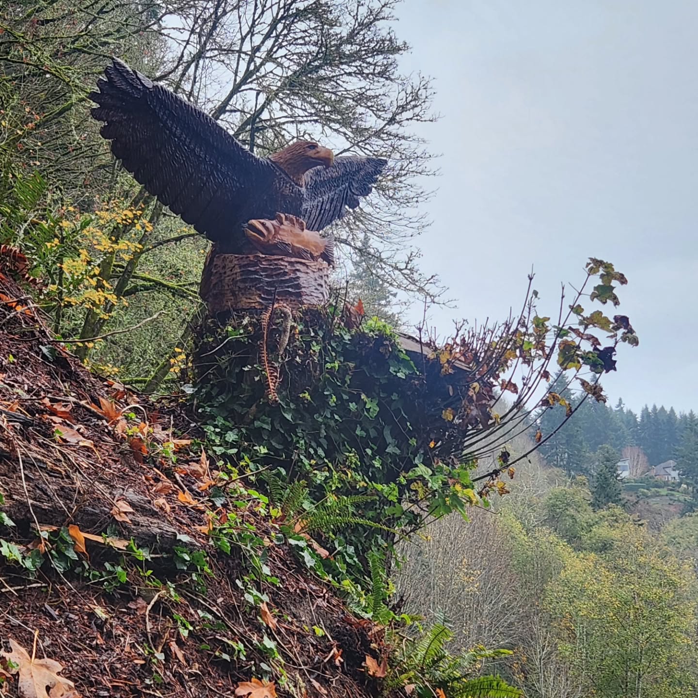 ❤️🦅
Kyle just completed this magnificent eagle for a client whose home features the most breathtaking, picture-perfect view in all of Gig Harbor.
It is a sincere honor and a privilege to have Kyle's work contribute to the beauty and spirit of such a wonderful setting. Thank you for letting us add to your beautiful home.