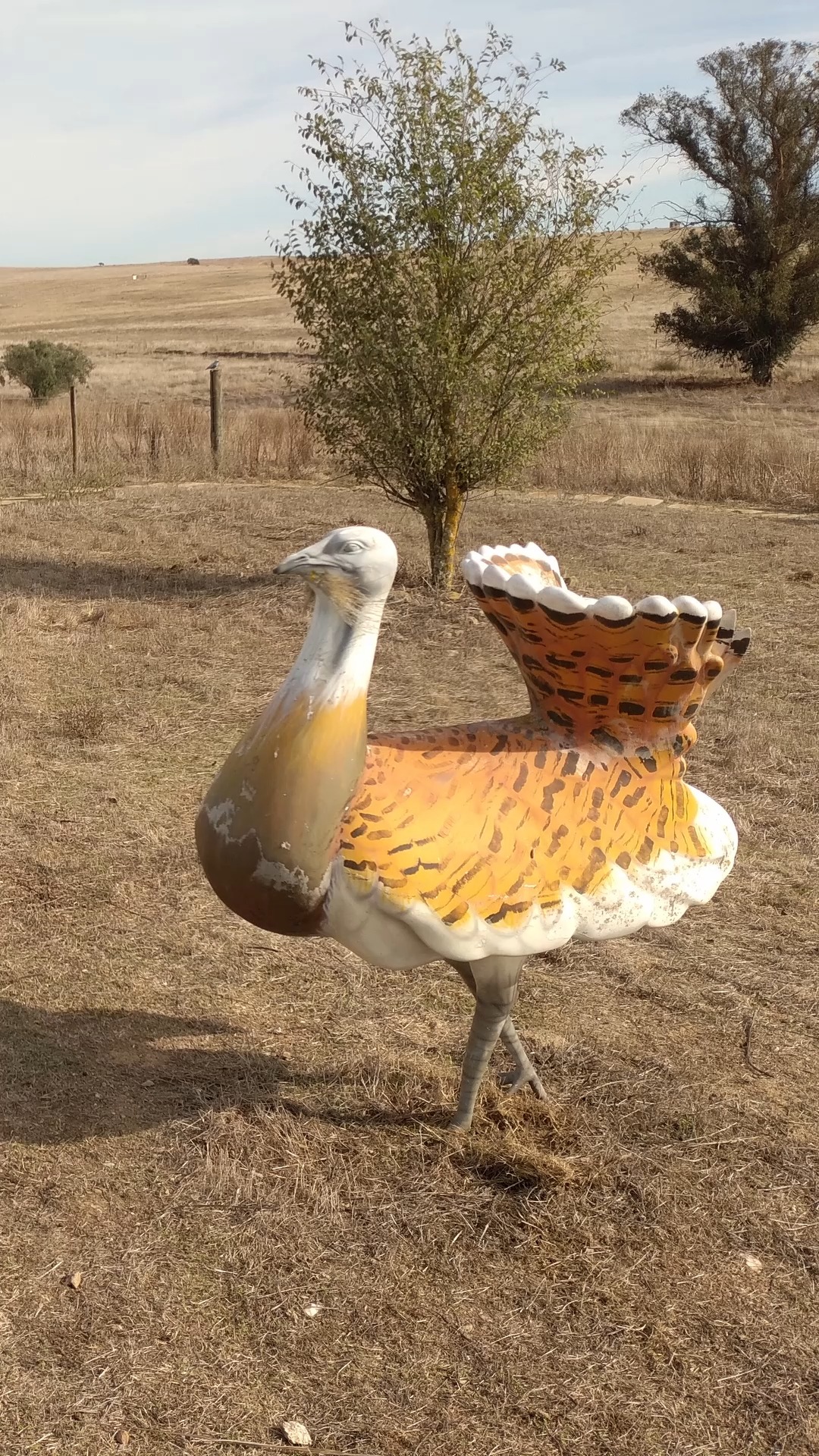In the vast silence of the Campo Branco, time stands still and history breathes again 🌾🇵🇹
Here, in the Castro Verde Biosphere Reserve, the rhythm of nature and the legacy of man move as one — a fragile harmony of flight and field. 🦅💚
From the Village of the Lovers to the Chapel of S. Pedro das Cabeças, every step echoes through the centuries, leading us to the legendary ground of Ourique, where a nation first dreamed of freedom. ⚔️✨
This is more than landscape — it’s memory made visible.
A living story carried by the wind across the golden plains of southern Portugal. 🌬️
#WesternmostRoute #CampoBranco #CastroVerde #AlentejoWalking #BiosphereReserve #NatureAndHistory #Ourique #ExplorePortugal #SustainableTravel #NatureTourism #CinematicTravel #TravelPortugal