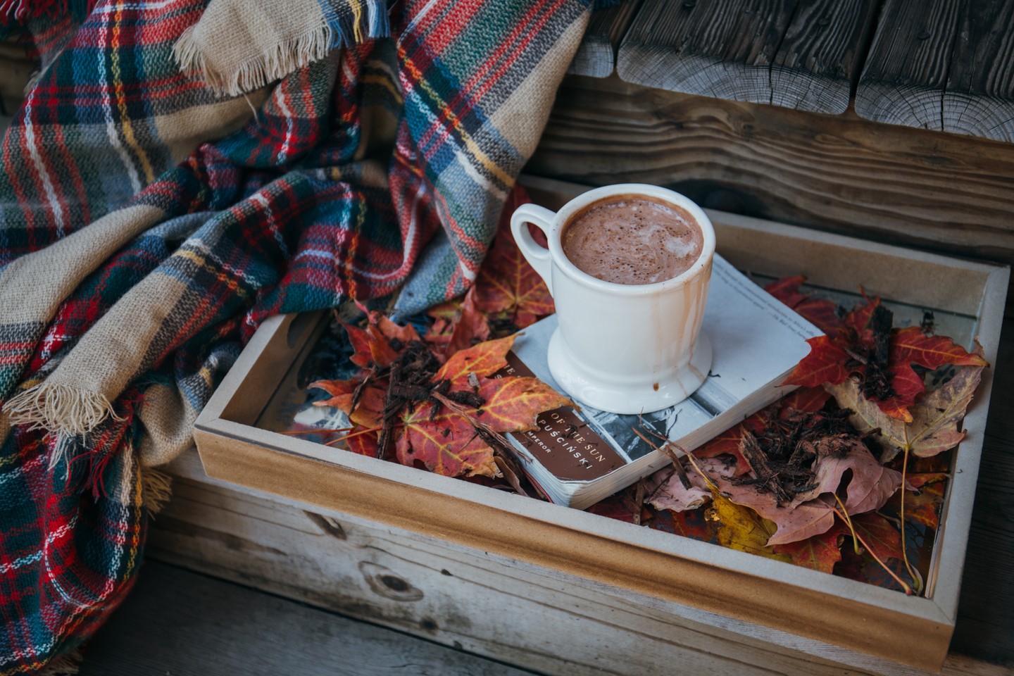 Gift delicious coffee this season!
High up in Chiriquí, our Sandi Coffee Estate cherries develop bright acidity and layered flavors thanks to altitude, rich soils, and unique microclimates. We roast small batches here in McKinney the moment they arrive so you taste Panama’s terroir—vibrant, clean, and unmistakably fresh. Curious which notes you’ll find? Look for citrus spark, honeyed sweetness, and a silky finish. Link in bio. ☕🌄🌿✨
#SpecialtyCoffee #PanamaCoffee #FromFarmToCup #McKinneyRoasters #CoffeeJourney #SingleOrigin #CoffeeLovers #CoffeeScience