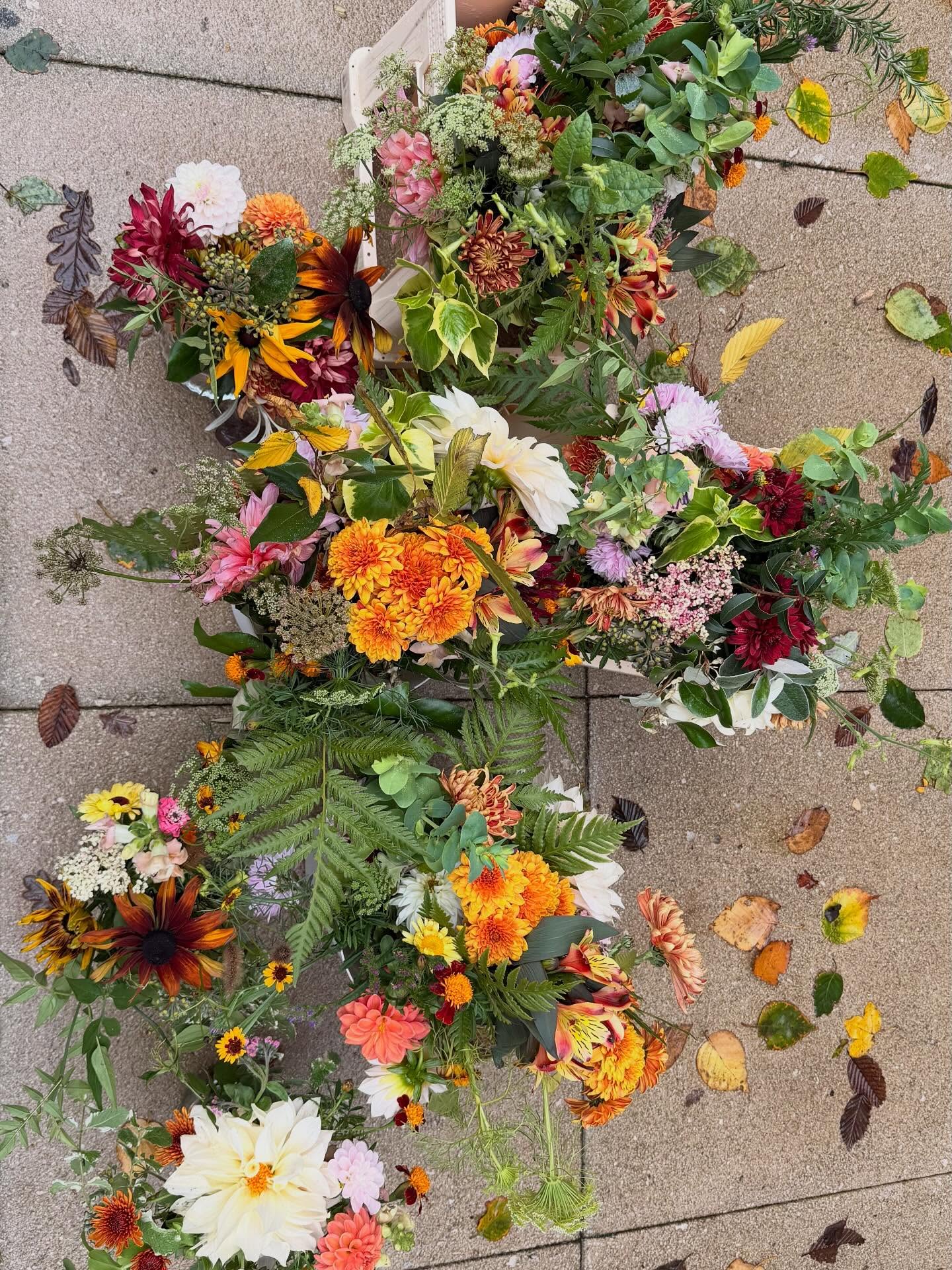 SPREADING JOY š Last of the flowers from my allotment this year couldnāt have gone to a more worthy commission. Farewell flowers for a much loved father, made into two arrangements for the service yesterday, and then taken to the wake for everyone to enjoy. Today, the flowers are heading to a care home, bringing a little more joy! Thanks to @wildbunchflowers and @littleandwildflowers for more seasonal beauties #spreadthelove #seasonalflowers #localisbest #farewellflowers #floralantics