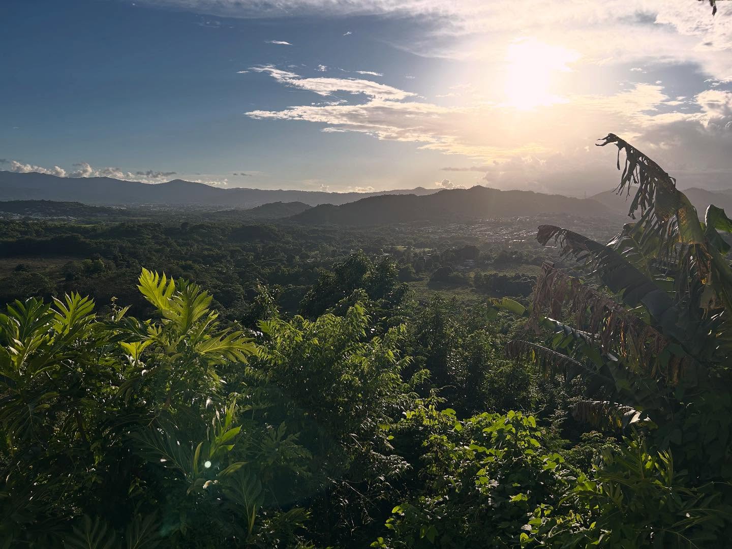 #gurabo