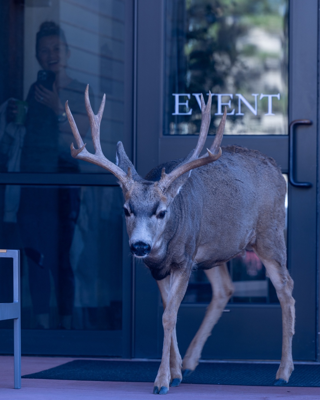 Everyone was trying to get in on the magic of Quantum Peak — including this handsome fellow 🦌✨
Garden of the Gods truly turned it on for us… the wildlife, the sunshine, the views, and the energy — all coming together to create something unforgettable. Feeling deeply grateful for these moments of beauty 🌄