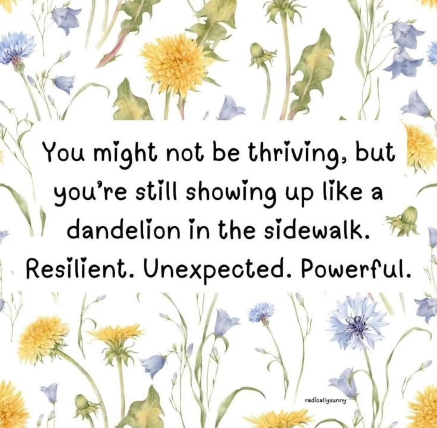 There is this notion that we have to give 100% all of the time. That we have to be on. That we have to hit all the right notes.
That's not true.
Sometimes your best 100% isnt going to be what you can normally achieve and that's okay. You're human. The world is hard. It isnt feasible to be all in all of the time.
๐ผWake up every day.
๐ผDo what you can do.
๐ผDrink your water.
๐ผEat something.
๐ผIf all you manage to do is the bare minimum because you are too tapped out to think of anything more, Im proud of you.
Just continue to show up in whatever capacity you are able to and show yourself love, patience and grace.
(For the record, dandelions have amazing healing properties soooo...there is nothing wrong with a dandelion๐ผ)
#selfcare #selflove