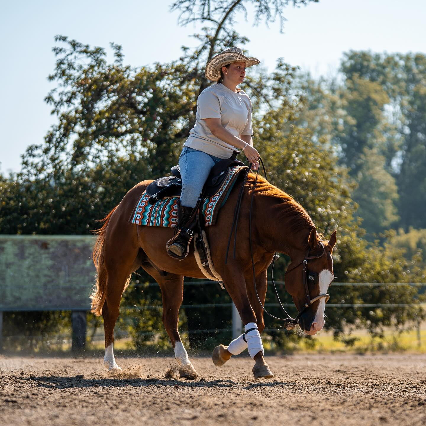 The one and only…
EYES OF WHIZ
LTE +43.400$
2018 gelding by One Gun out of Luga Whiz
bred by @carlo.sala.182
We are forever grateful for this special horse! 🦖💚
📸: @dv.media.production
#LucieEgenterPerformanceHorses #LEPH #EQH #DONUTbitsandspurs #fixkraft #himel #JDesign #ride5ridingessentials #WigwamShowBlankets