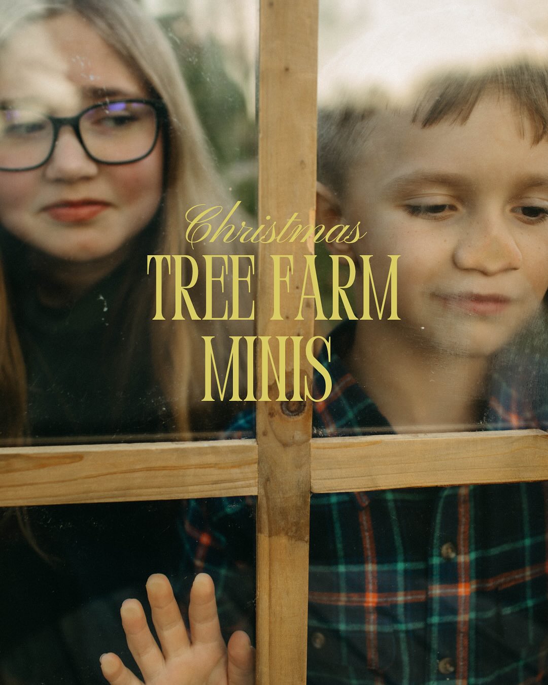 Christmas Tree Farm Minis were everything my heart needed this season. Warm light, cozy sweaters, tiny hands on storybooks, real laughter, soft moments, and families just being themselves.
These sessions felt like little movies unfolding between the evergreens.
I can’t wait to share full galleries, but here’s a peek into the magic.
Keywords: Christmas tree farm photos
Grand Rapids Christmas minis
Michigan holiday photographer
Cozy winter family photos
Cinematic family photography Grand Rapids