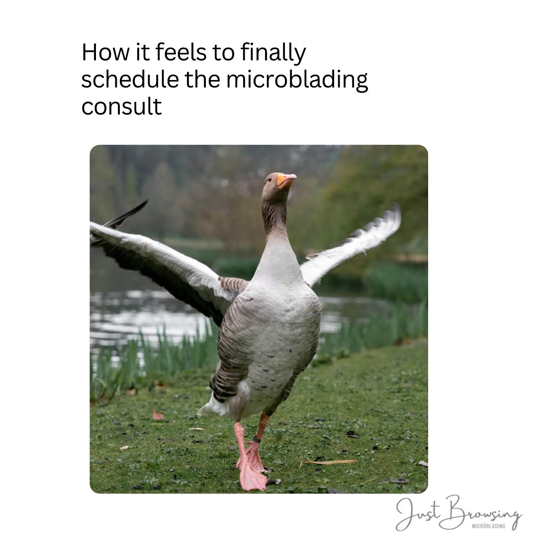 Can confirm.
