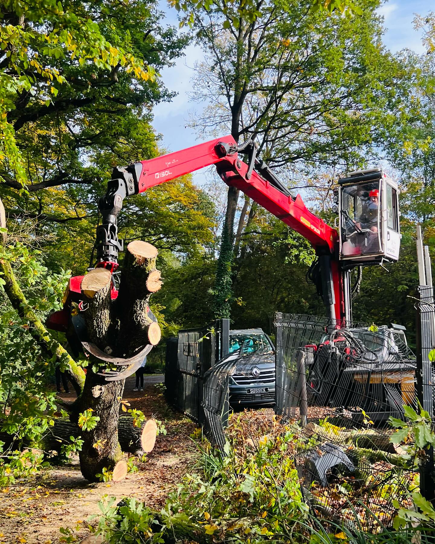 Our grapple saw timber lorry keeping busy on reactive tree safety callouts, proving to be incredibly efficient and versatile at dismantling and clearing away all non chippable arrisings.
For more information on this or any of our other bespoke Mech Arb services please feel free to contact us on:
01428727799
07775934129
Info@wallacetimber.co.uk
Instagram - wallacetimberservices
#grapplesawtruck #grapplesawtruckcompany #mechanicalarboriculture #mecharb #arboristsofinstagram #arblife #treesurgeon #forestry #emergencytreeservices #crane #timberlorry #roadclosed #wallacetimberservices #contracthire #uk