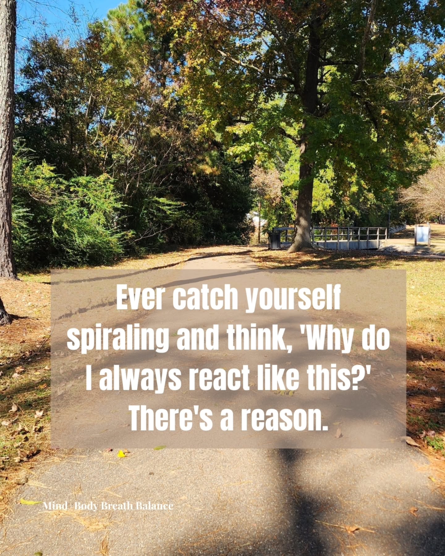 How wild is it that your brain has been running the same mental programs since childhood?!
Programs installed by conditioning, and experiences you may not even consciously remember.
The cool thing about the brain and thought is that what was learned can be relearned. We just need the right tools.
Neuro-Linguistic Programming (NLP) is the science of rewiring your internal map of reality - those deep-seated patterns that keep you stuck in anxiety, self-doubt, and reactions you can't seem to control.
In this carousel, I'm breaking down:
→ What NLP actually is (in plain English)
→ How it works with your subconscious mind
→ The specific techniques that create lasting change
→ How NLP is woven into 9D Breathwork for rapid transformation
This isn't about positive thinking or willpower. This is about accessing the language your subconscious understands and rewriting the code.
Swipe through to understand why you react the way you do - and how to change it using 9D Breathwork.
DM me to learn more and to book a complimentary consultation about private sessions, group experiences, or corporate programs.