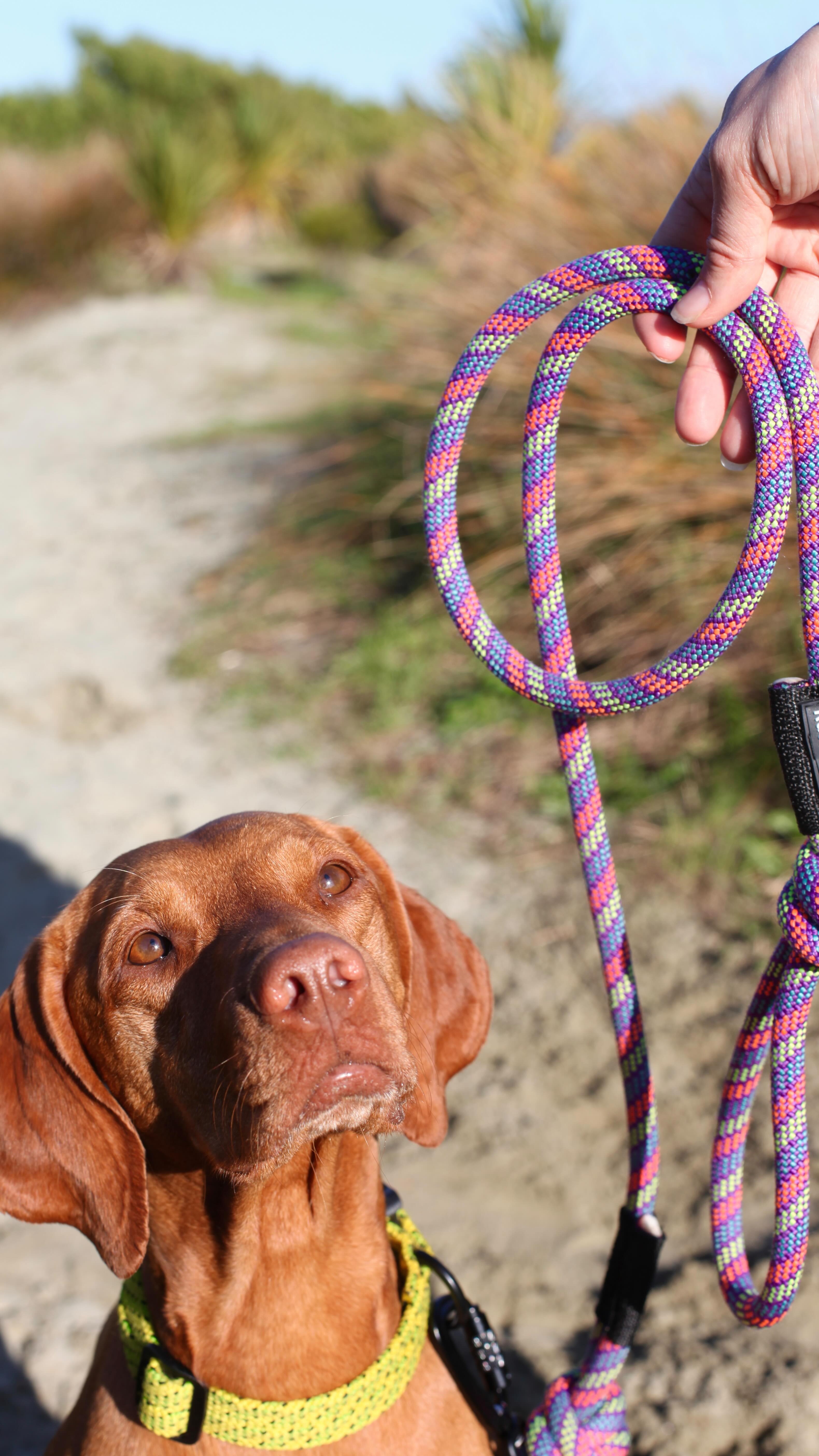 We always need more ropes and we so so appreciate any donation we get !! These donations were from @aspiringsafety and @rocktopia_mtmaunganui follow along to see what these bad boys get made in to !! 🪢
#ecofriendly #nzsmallbusiness #dogsnz #ratuski #ecobusiness
