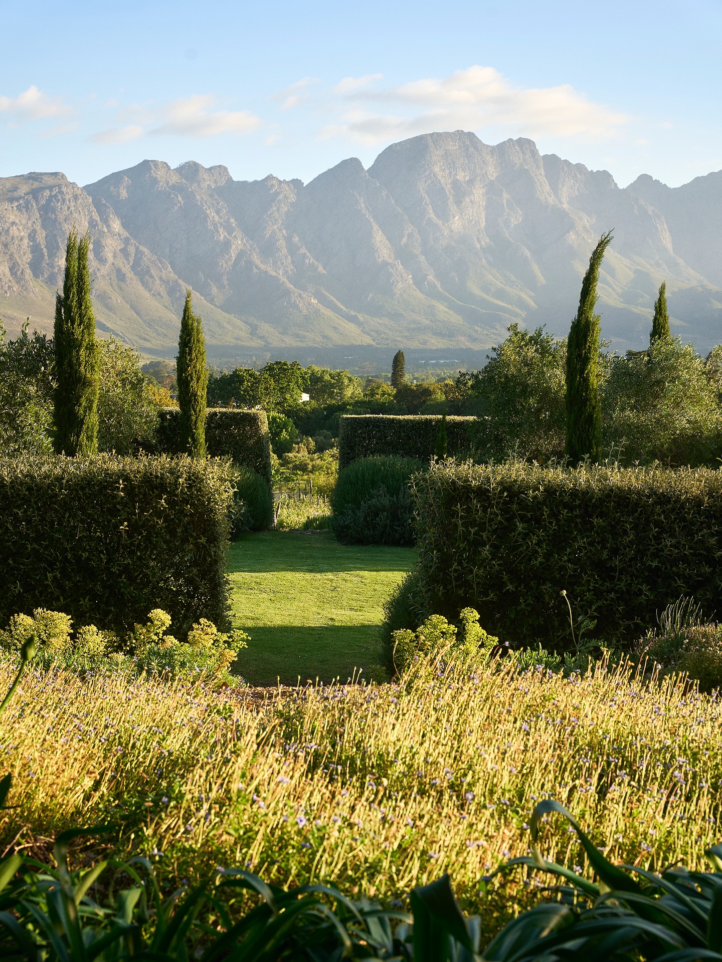 Framed by the Franschhoek Mountains, our farm has a front-row seat to nature’s elegance.
.
.
.
#lacotte #lacottefarm
#franschhoek #franschhoeklife
#view #mountain #nature #farm