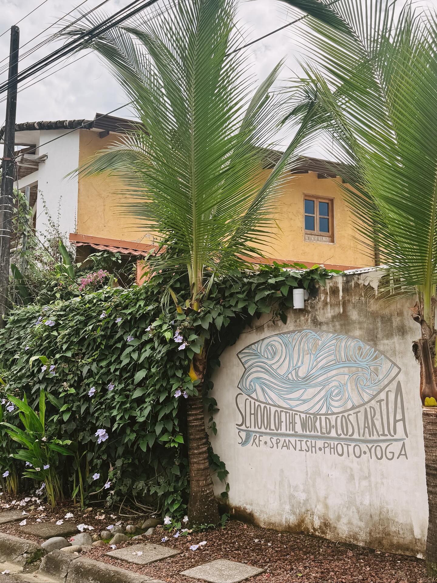 a few more from the Costa Rica camera roll☀️🌊🧡🐚🌴
can’t wait to be back at @schooloftheworld !!
