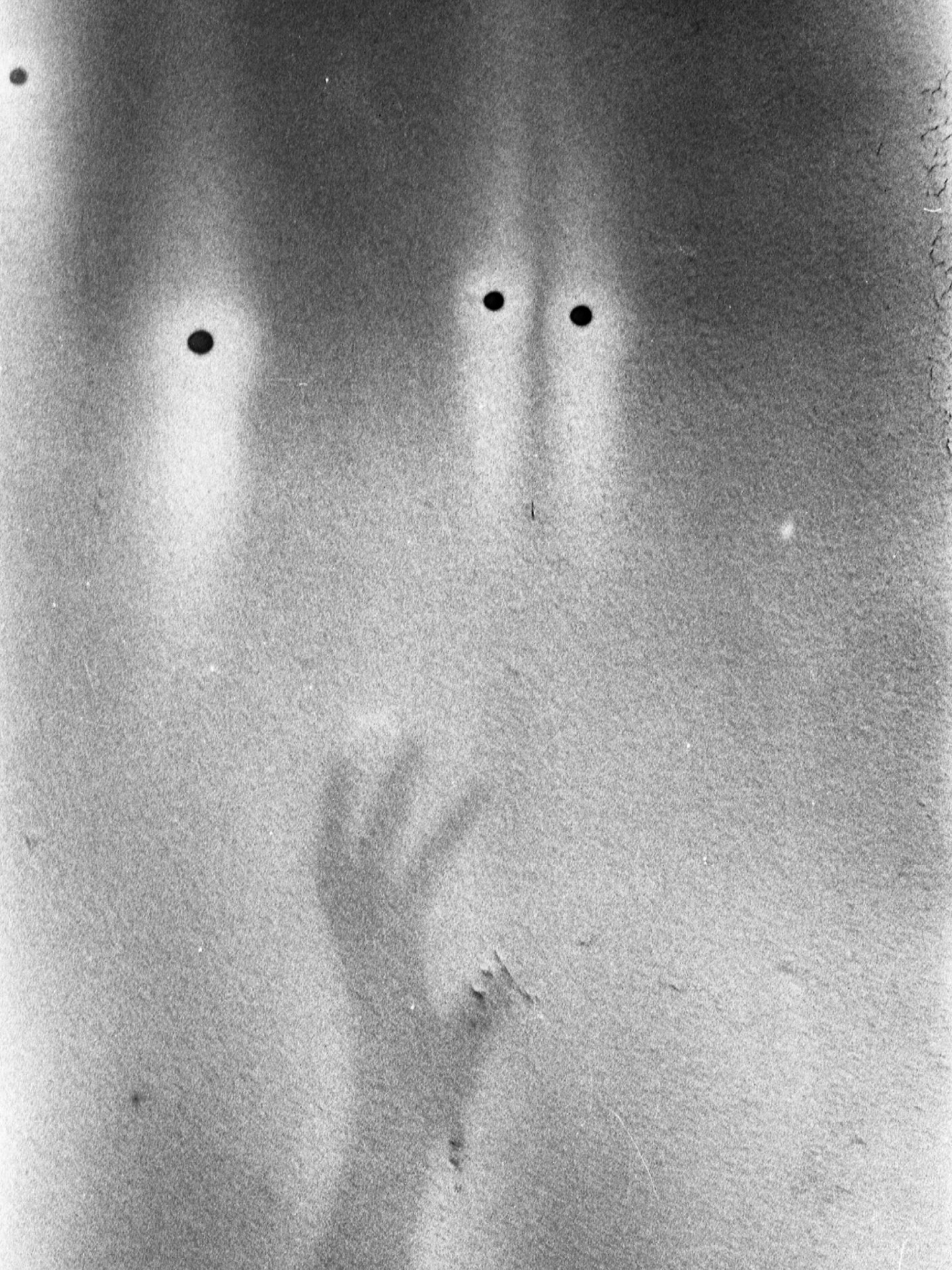 Love this shot by Charlotte during our 35mm photo walk a few weeks ago. Charlotte then learned how to develop 35mm film and print from the negatives in the darkroom 💡