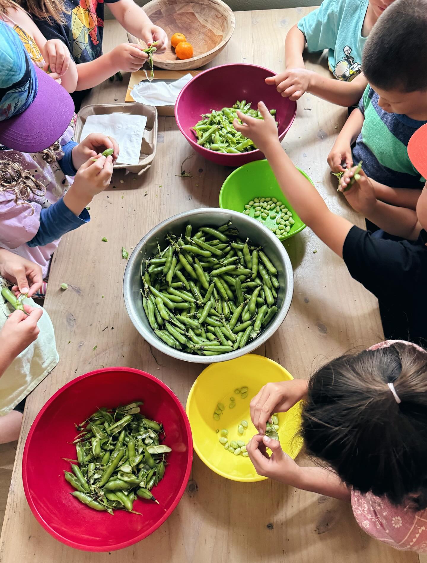 “Many hands make light work” in Kindergarten & First
#sfschoolhouse