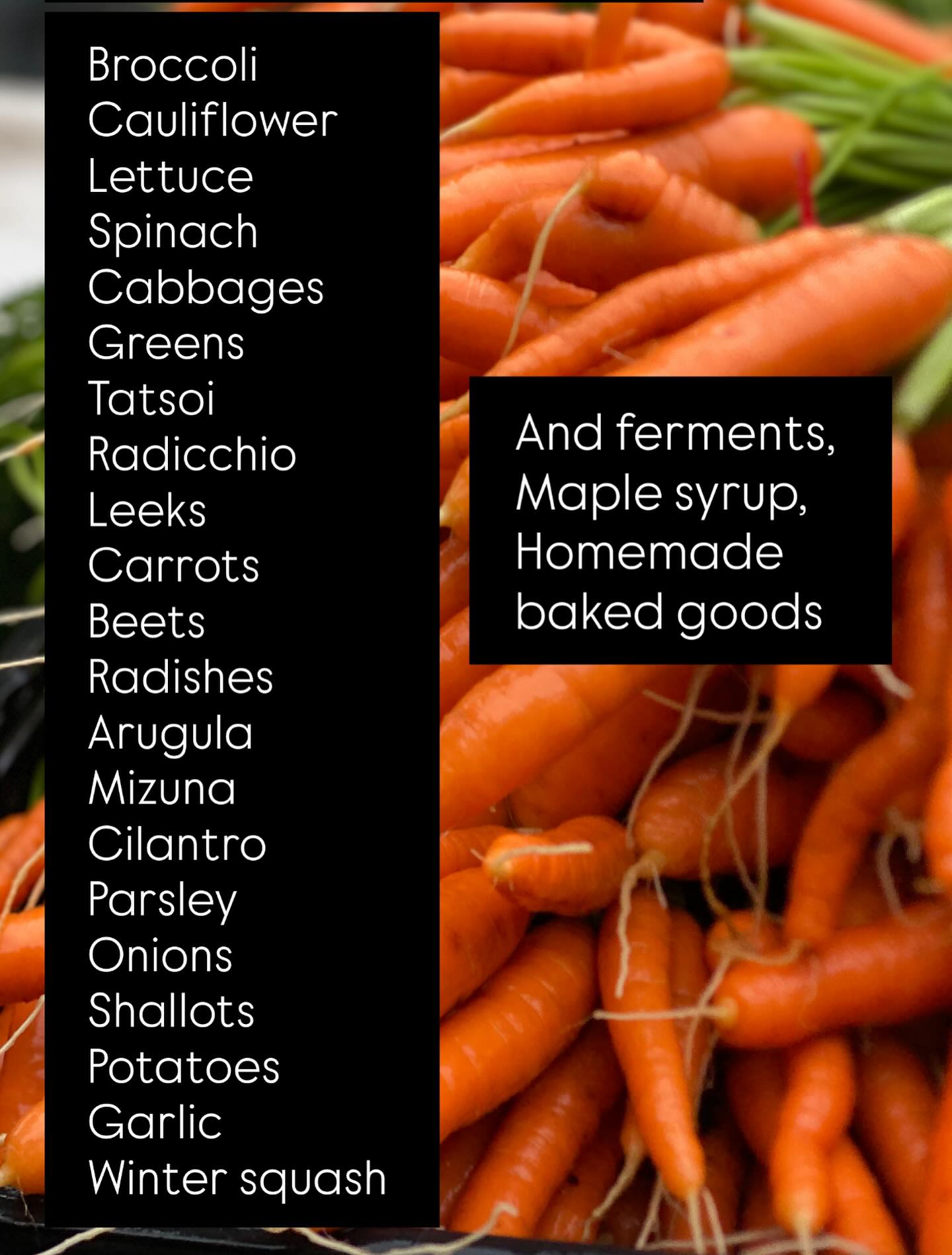 Here are some of the things we will have at our Pop-up market at our farm this Saturday Nov. 15th from 10am to 2pm.
We are baking all kinds of delicious sweet and savory goodies for you and harvesting lots of fresh veggies out of our field.
We hope to see you there!