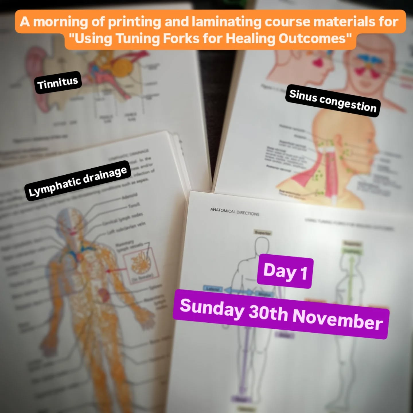 "Using Tuning Forks for Healing Outcomes" - Day 1 - Sunday 30th November 9:30am-4pm (ish) at Medmenham Village Hall. Day 1 covers tuning fork protocols for Sinus Congestion, Tinnitus, Lymphatic Drainage and Vagus Nerve Balancing.
This is an intensive in-person course that will provide basic anatomy and physiology knowledge to inform your work with tuning forks and introduce evidence-based protocols for self-treatment and use with clients, family and friends.
£95 for one day
£175 for both days
Day 2 is on Saturday 24th January and will cover tuning fork protocols for Arthritis, Respiratory Muscle Strain, Acute & Chronic Injuries and Fibromyalgia.
Get in touch for more information.
#soundhealing #soundtherapy #tuningforks