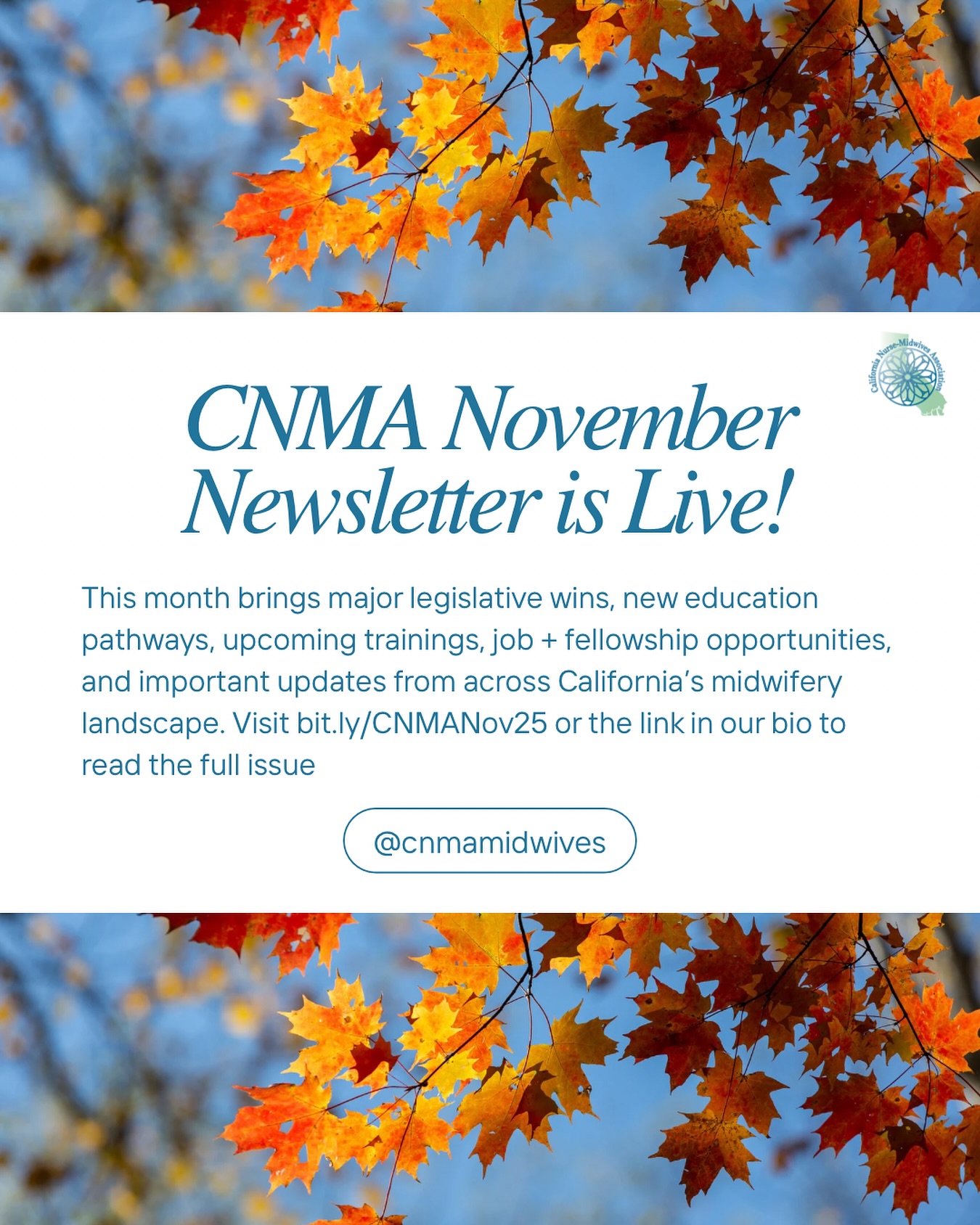 🍂The CNMA November Newsletter is here!🍂
This month we’re celebrating four major legislative wins for midwifery in California, uplifting new training and education pathways, sharing job + fellowship opportunities, and spotlighting resources that strengthen reproductive health access statewide.
From expanding midwifery education to improving rural perinatal access, this issue highlights the collective work of midwives, students, and advocates across our state.
✨ Read the full November Newsletter at bit.ly/CNMANov25 or the link in our bio!
#CNMA #CaliforniaMidwives #MidwiferyMatters #BirthEquity #ReproductiveJustice #MidwifeLedCare