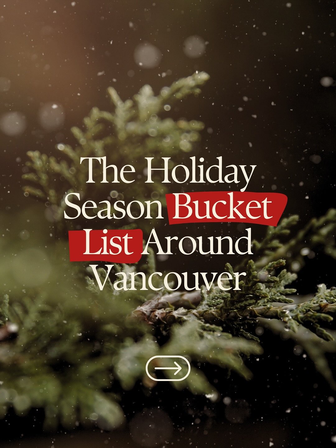 Swipe through → for all the must-do events happening around the city this season. Save this post to plan your month + send it to someone who needs a little holiday inspo.
Let me know what’s first on your list this year.
✨🏡 and if you’d rather be out house hunting, send me a DM! #vancouver #vancouverisawesome #vancouverrealestate #northvancouver