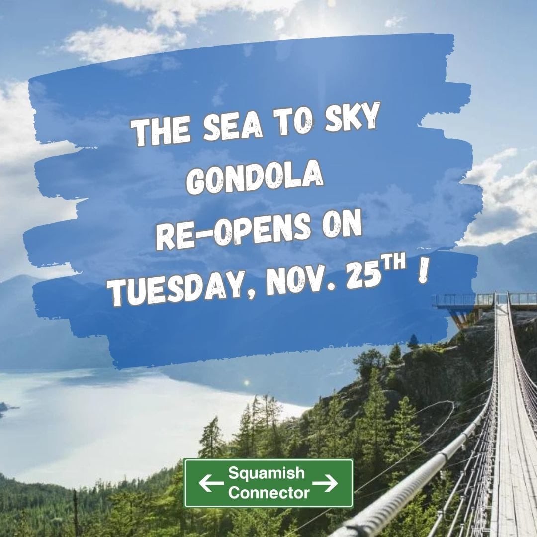 🏔️ It’s all-time fall-time up the gondola and we can take you there!
🎟️ Book our convenient shuttle and gondola package through the link in our bio!
#squamishshuttle #adventureshuttle #seatoskycorridor
