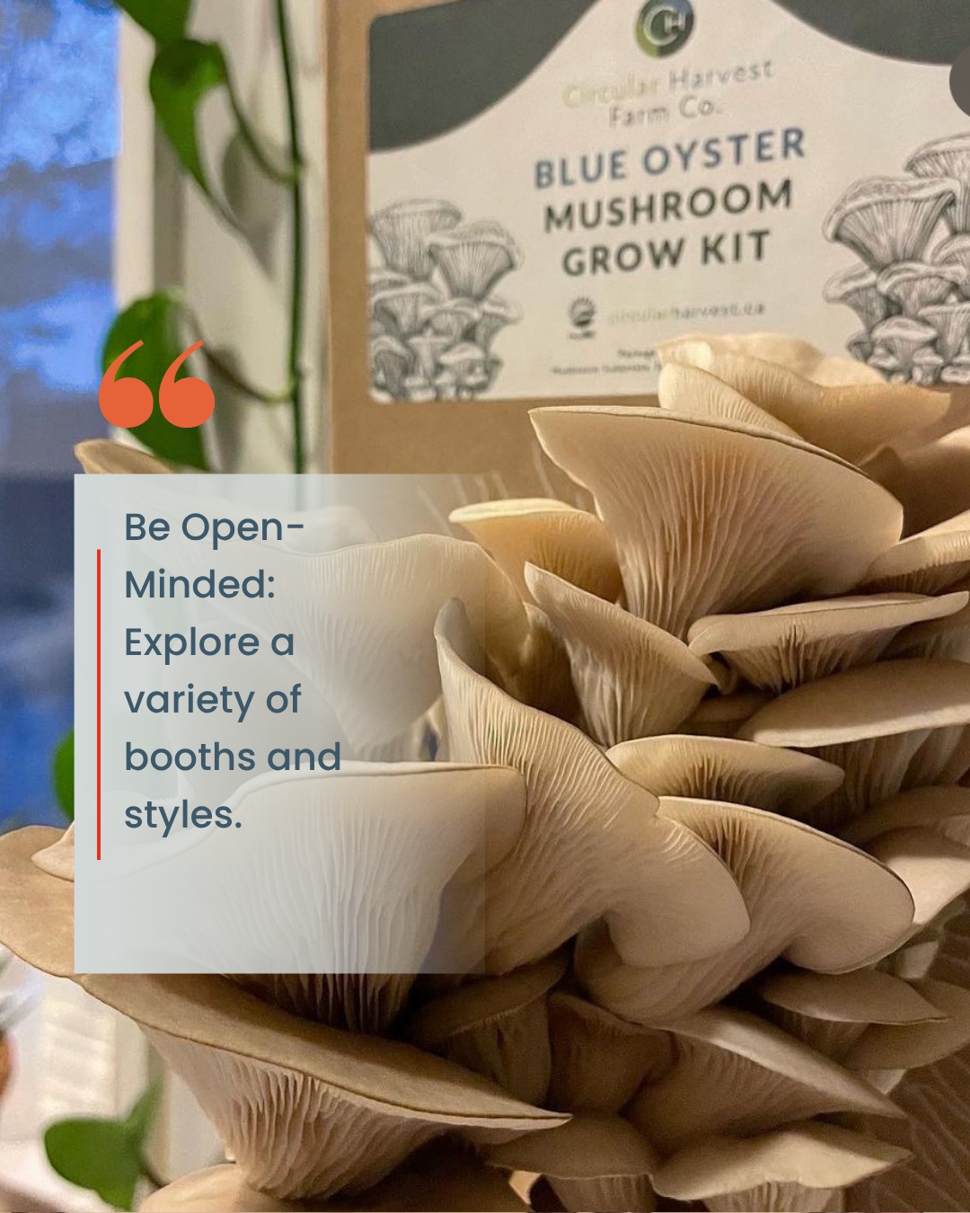 Be curious. You never know what gems you will uncover at a market.
Be sure to visit Circular Harvest out DCWM they have the most beautiful mushroom grow kits. Stop by and ask them how they work.
See you Nov 22
