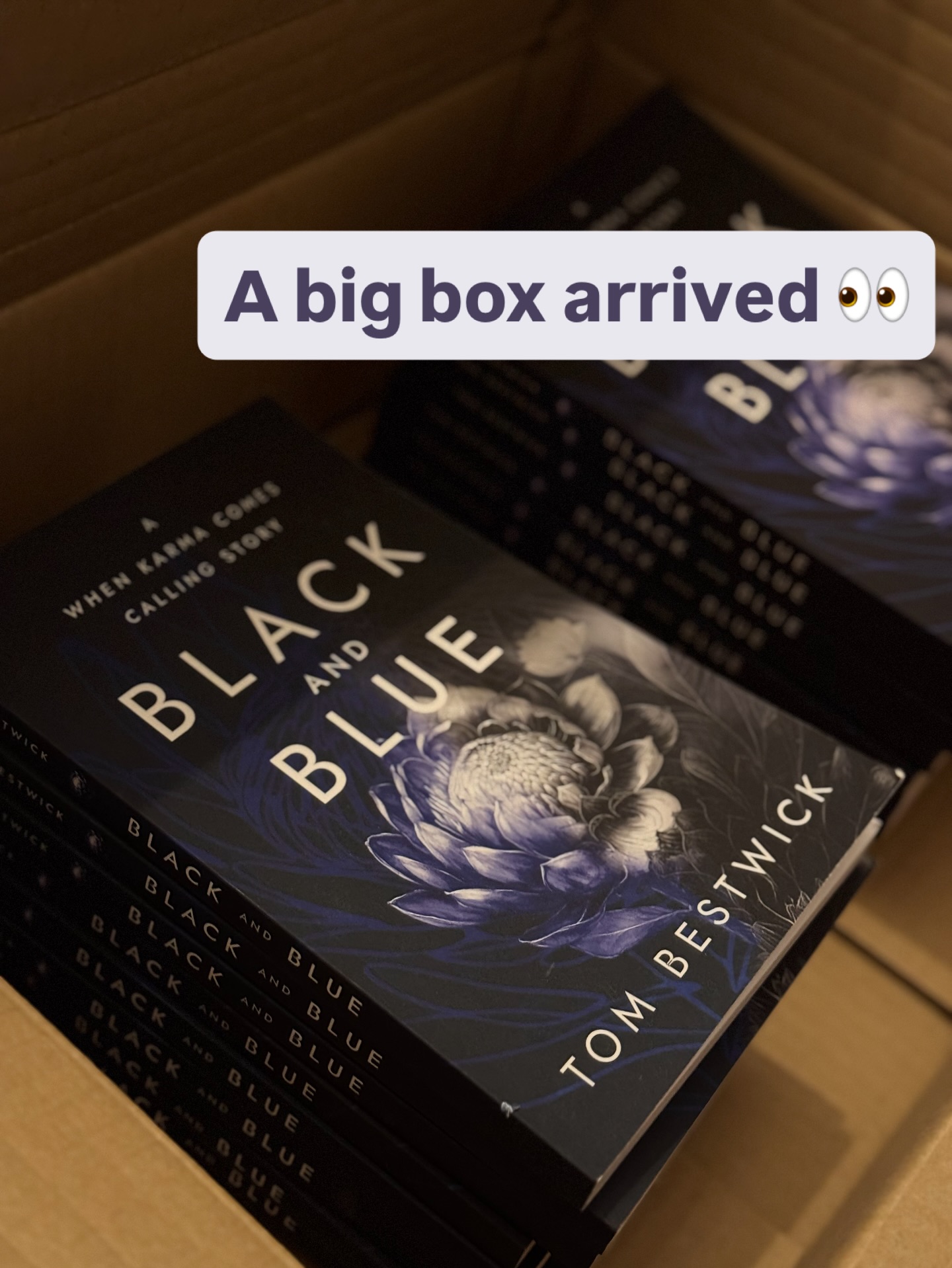 A big box of books can only mean one thing 👀
#authorsofig #writerlife #authorlife #writerscorner #writerslife #writerssociety #writersonig #writersfollowwriters #authorcommunity #fictionwriter #bookcoverdesign