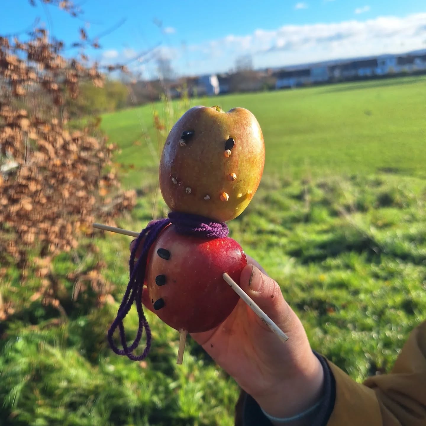 Apple bird feeders with a seasonal twist āļø
Owl pellets which are like uncovering gruesome treasure. So exciting to find a skull š
Putting the allotment to bed for the winter & making teasel hedgehogs.
We've talked a lot about autumn animals this week and our school fox decided to make a guest appearance.
It's been a busy week!
#forestschool #outdoorlearning #autumn
