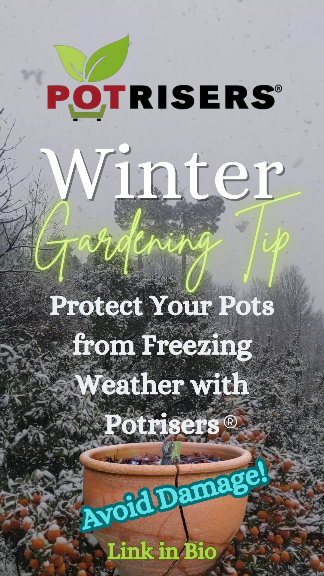 ❄️ Winter is coming… is your garden ready? Give your outdoor pots a small lift with Potrisers to protect them from freezing conditions. Improve drainage, prevent cracks, and keep your plants happy all season long. 🌿✨
Shop for Potrisers at your local garden store or nursery or shop online! Link in Bio 💚
#Potrisers #WinterGardening #ProtectYourPots #GardenTips #OutdoorPlanters #FreezeProtection #ContainerGardening #GreenThumb #SmallLiftBigDifference
