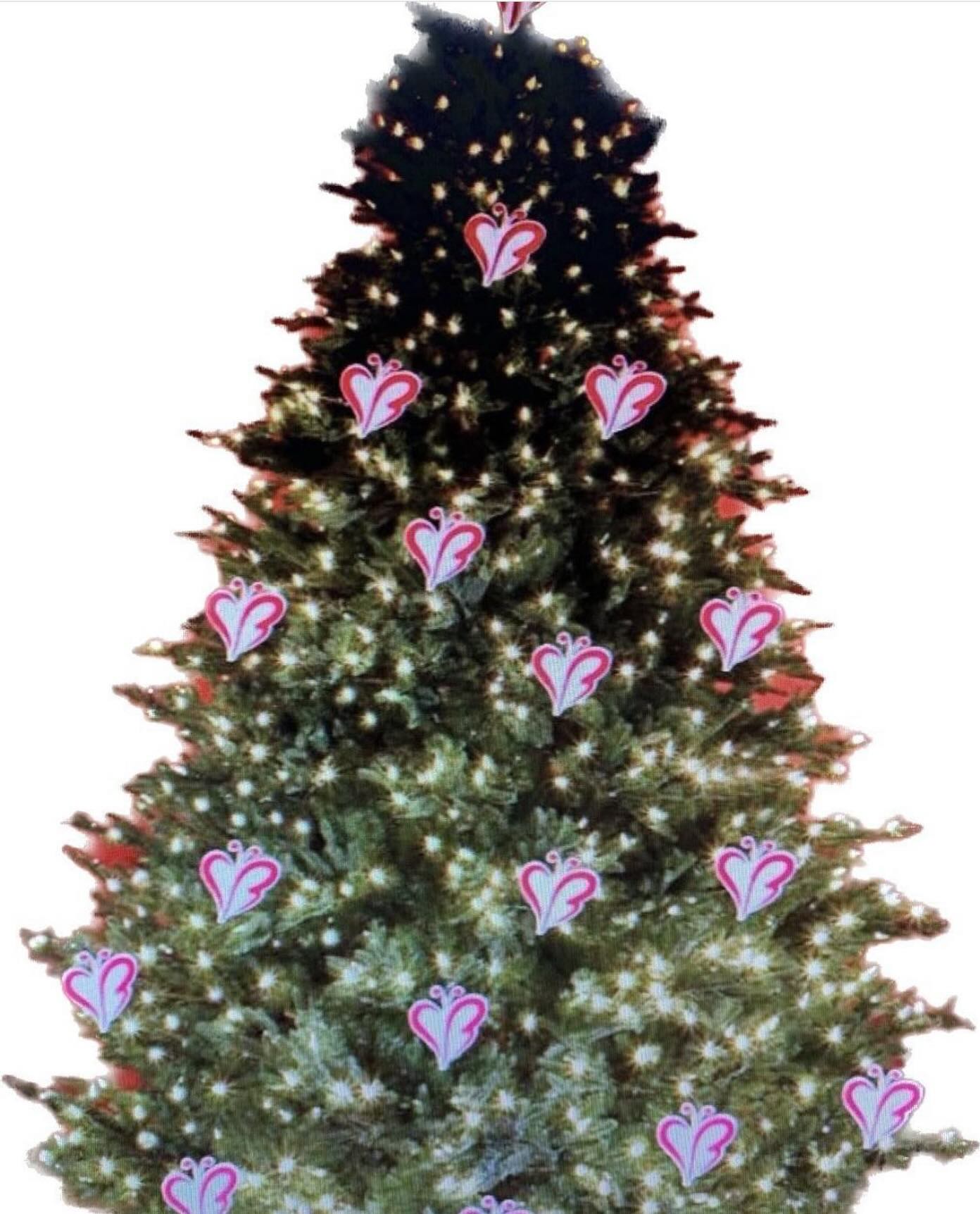 En nombre de los Voluntarios de la Fundacion Clarita nuestro deseo de Feliz Navidad, Fiestas y un año 2026 con mucha Alegría y Salud !! Abrazo a cada uno de nuestros seguidores❤️