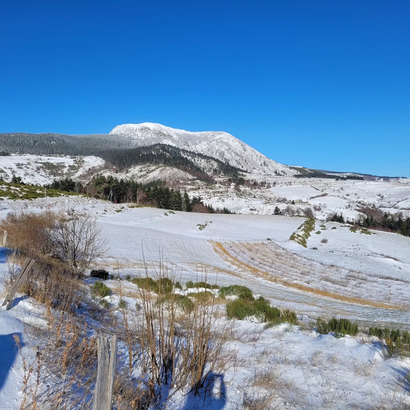 Tenues d'hiver...
1ers essayages sur le Mont Mézenc... ❄️❄️❄️
#taillépourlhiver #montagneardeche #mezencloiremeygal #Retrouvade #randonono #tourismeauvergnerhonealpes #pnrmontsdardèche #cestbolaneige